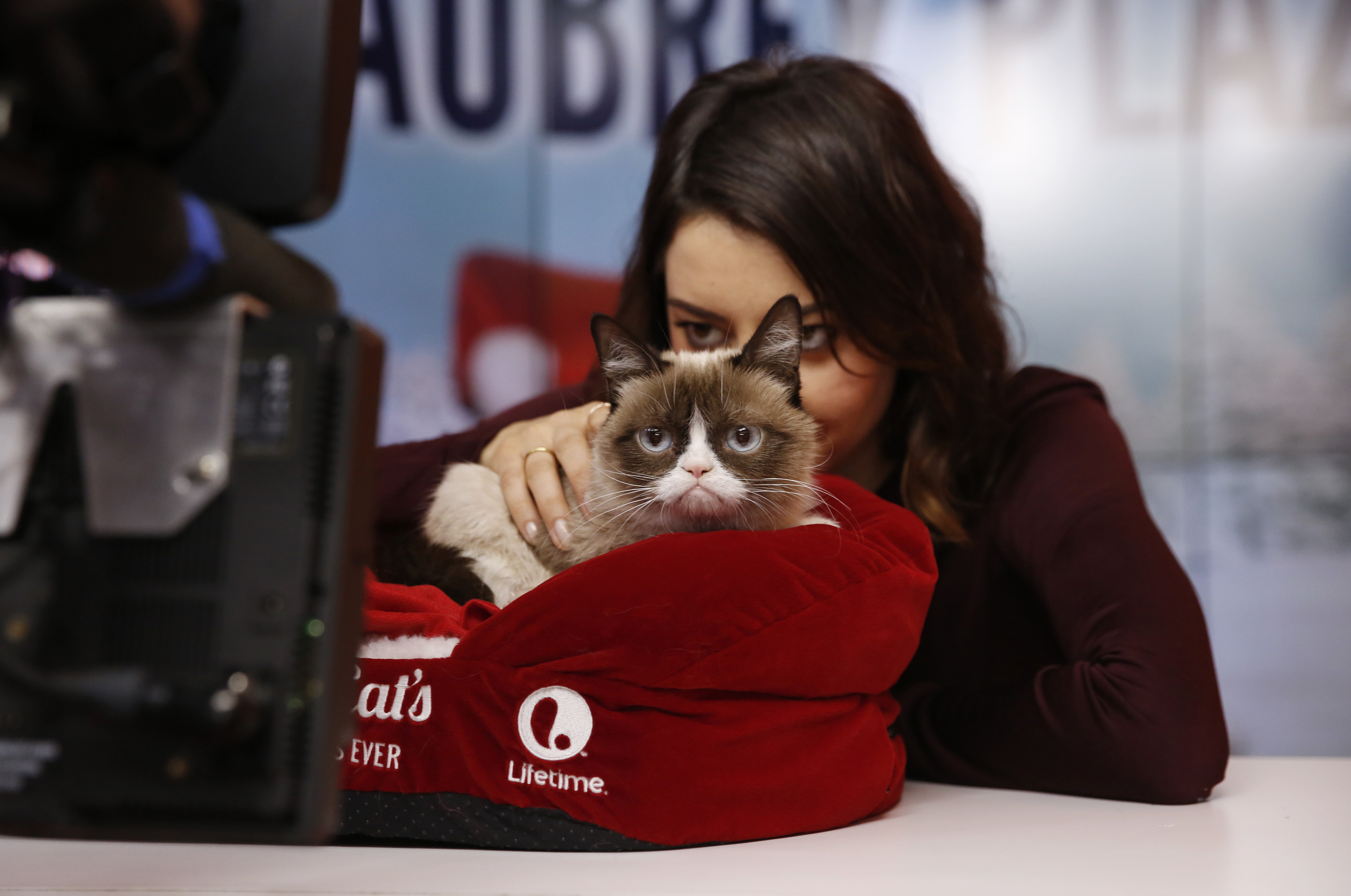 Aubrey Plaza and Grumpy Cat appear on NBC News' "Today" show on Nov. 24, 2014.
