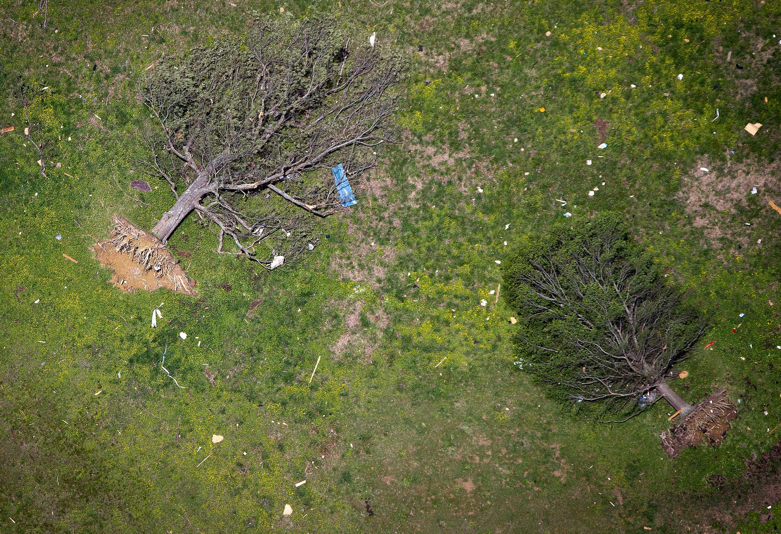 Uprooted trees are pictured after a deadly tornado hit Vilonia, Ark., April 28, 2014.