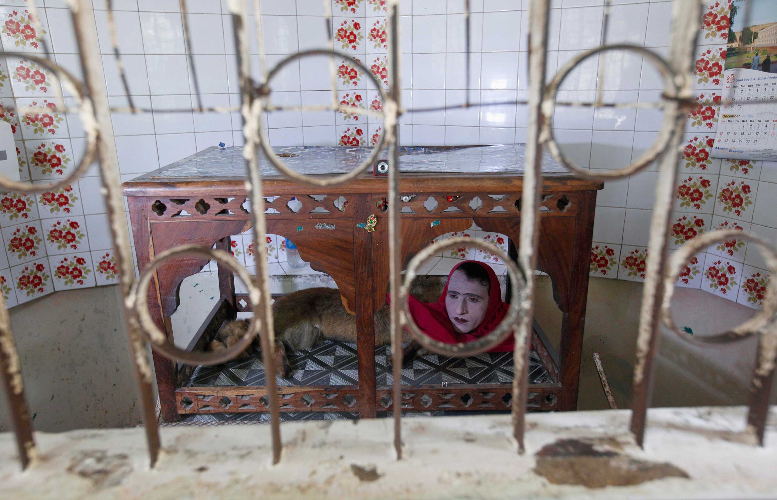 An entertainer performing as the character Mumtaz Begum, a fox-human hybrid creature, sits inside a wooden canopy in a small room called Mumtaz Palace to amuse visitors at Karachi Zoo in Karachi, June 20, 2014.
