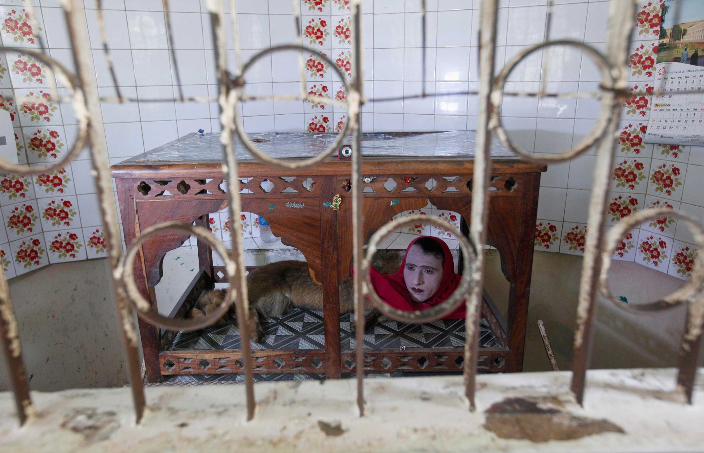 An entertainer performing as the character "Mumtaz Begum", a fox-human hybrid creature, sits inside a wooden canopy in a small room called Mumtaz Mahal, to amuse visitors at Karachi Zoo