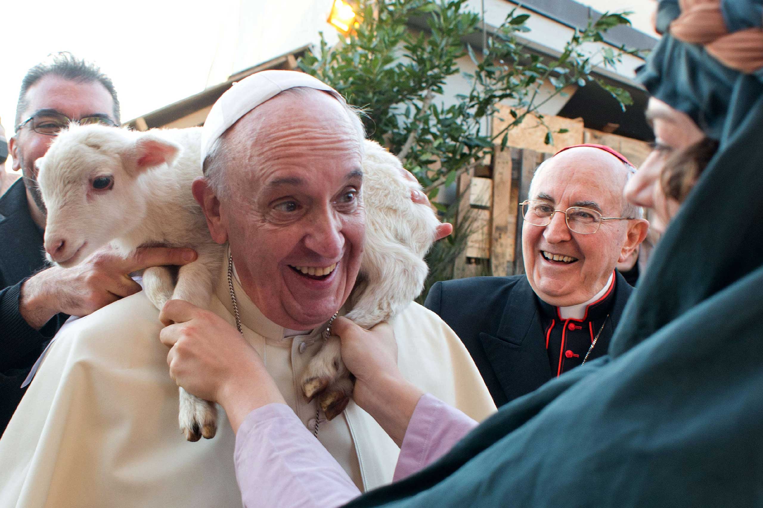 Pope Francis, visiting a church on the
                              outskirts of Rome on Jan. 6, is draped with a lamb.