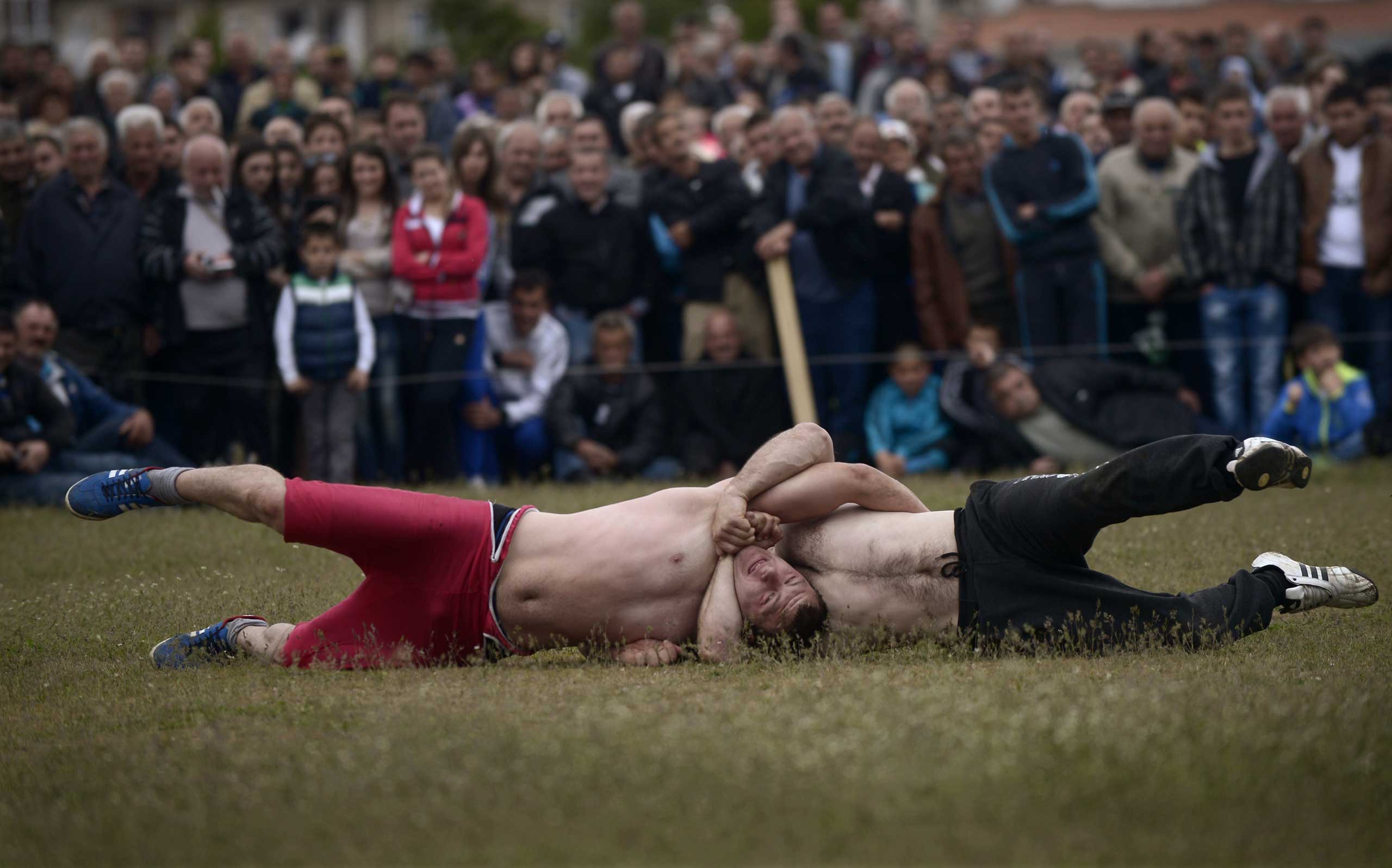 Competitors fight during a traditional wrestling tournament in the village of Draginovo, south-east of Sofia. Bulgaria, May 4, 2014.