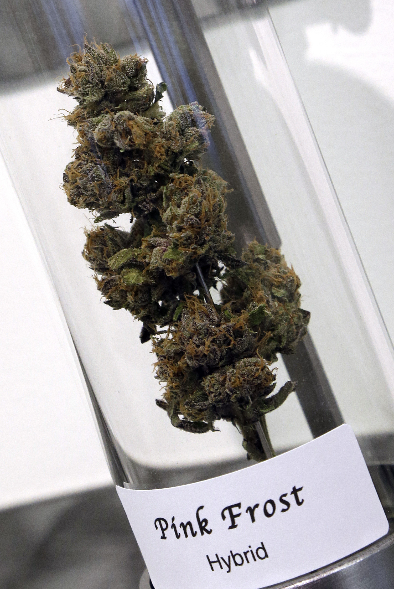 A sample of cannabis appears on display at Shango Premium Cannabis dispensary in Portland, Ore. (Don Ryan—AP)