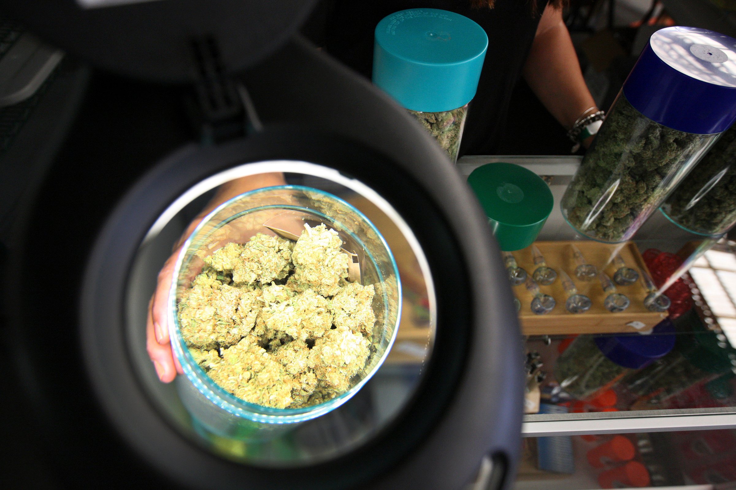 Marijuana is seen under a magnifier at the medical marijuana farmers market in Los Angeles