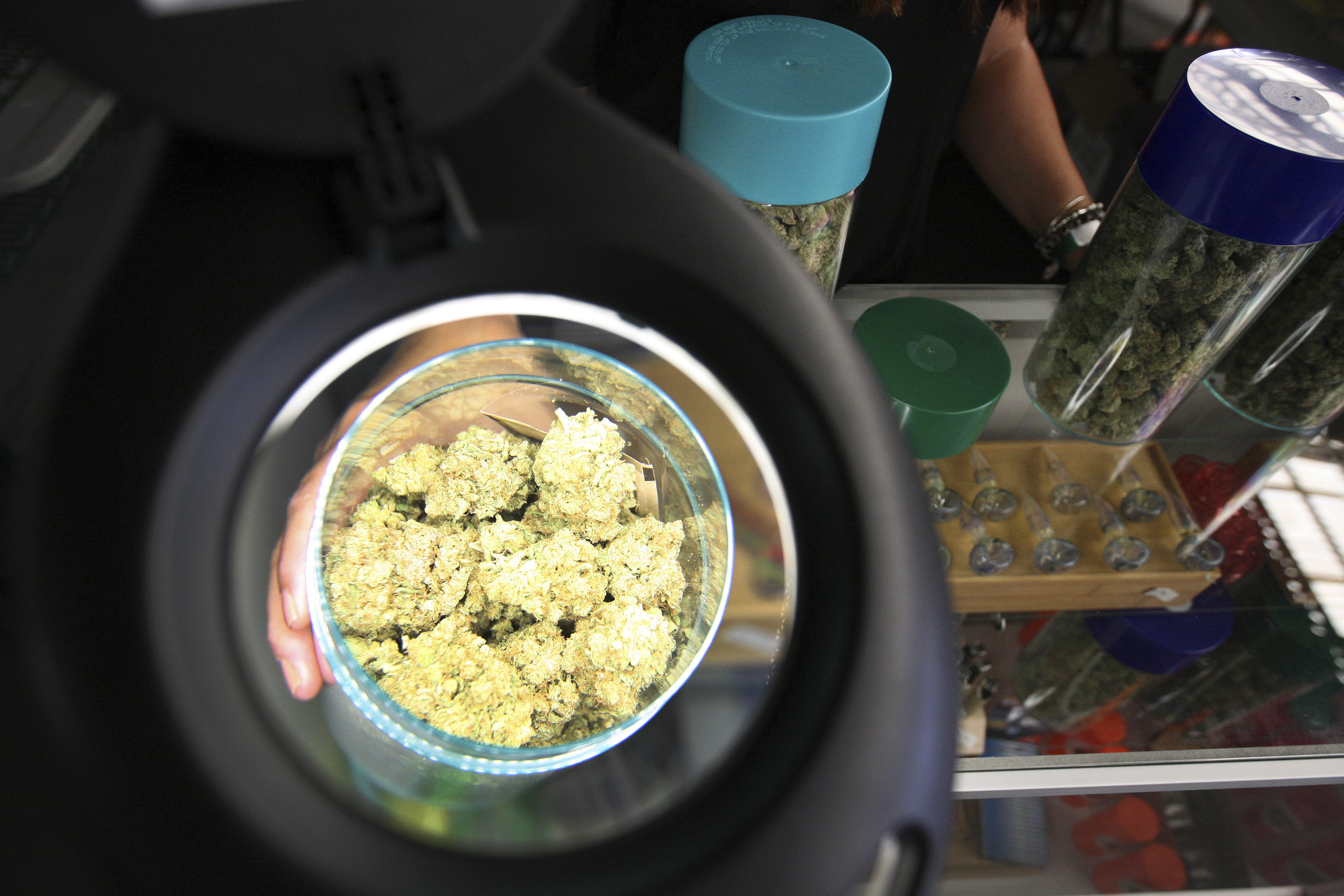 Marijuana is seen under a magnifier at the medical marijuana farmers market at the California Heritage Market in Los Angeles, California July 11, 2014 (David McNew—Reuters)