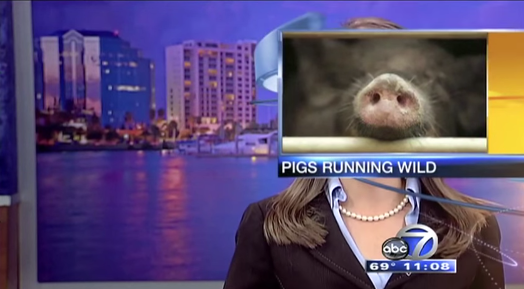 Best TV News Bloopers of 2014: Video | Time