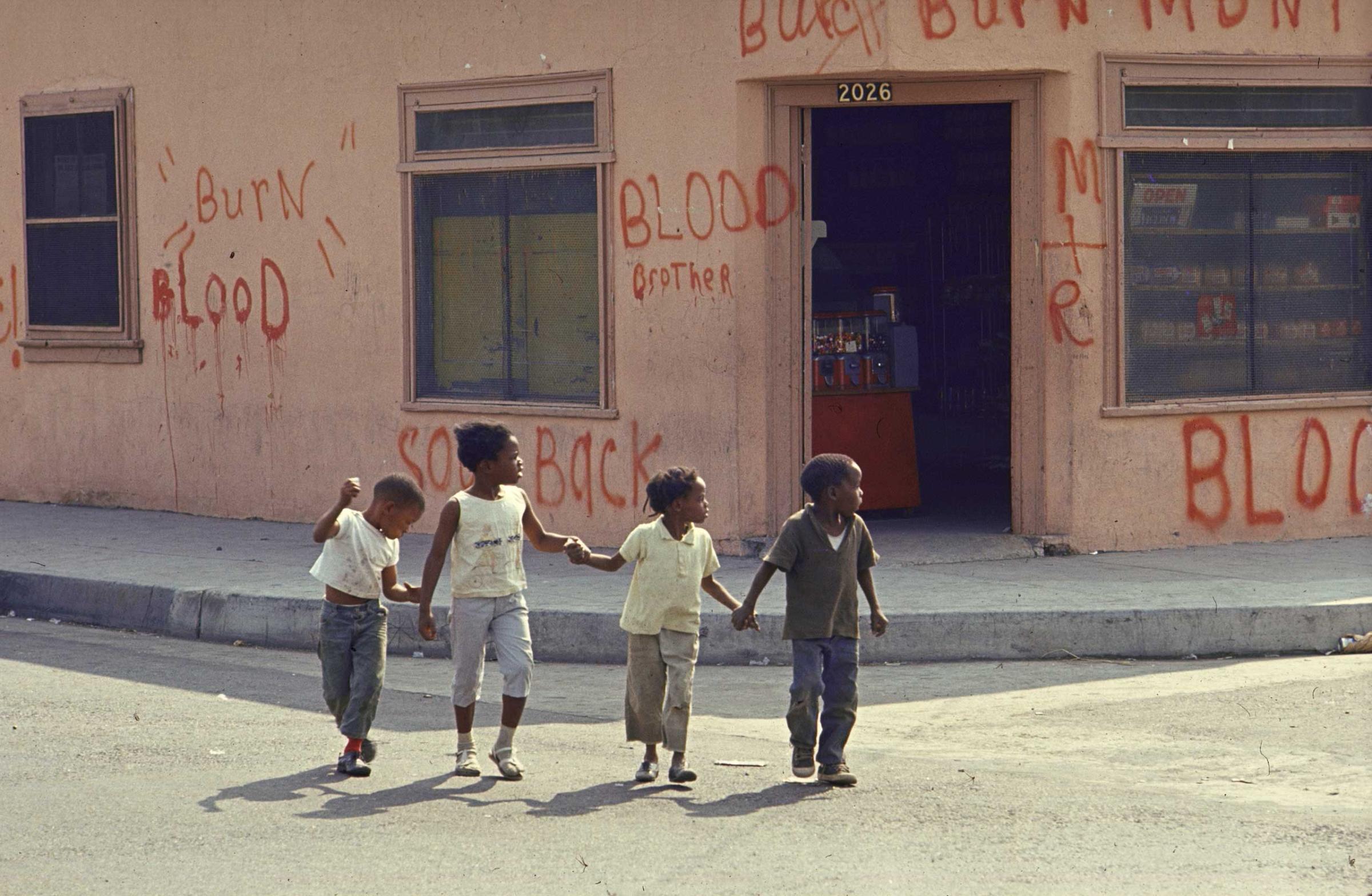 The Fire Last Time: Life in Watts, 1966