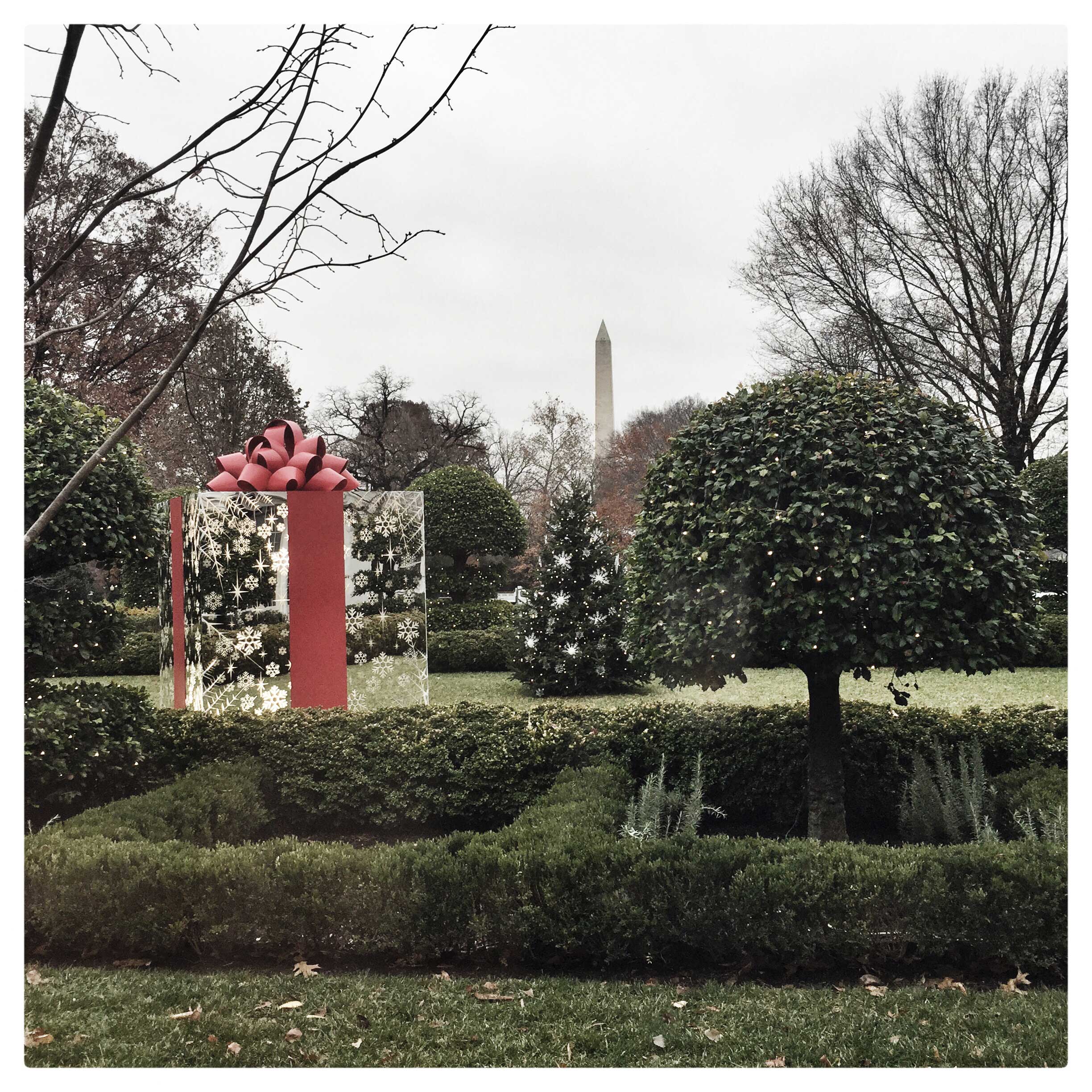 Holiday decorations in the Jacqueline Kennedy Garden of of the White House.