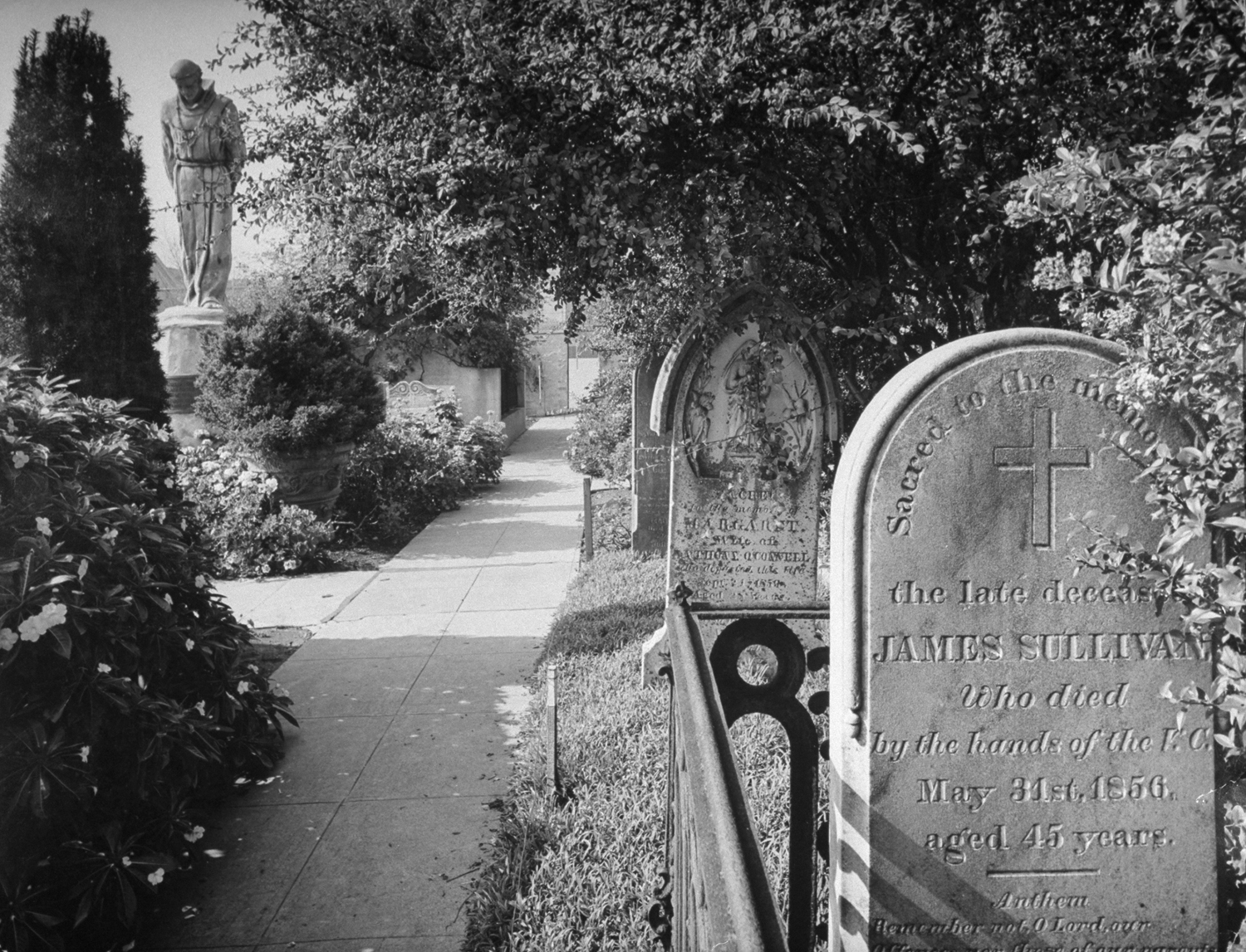 Cemetery of Mission Dolores, San Francisco, 1942.