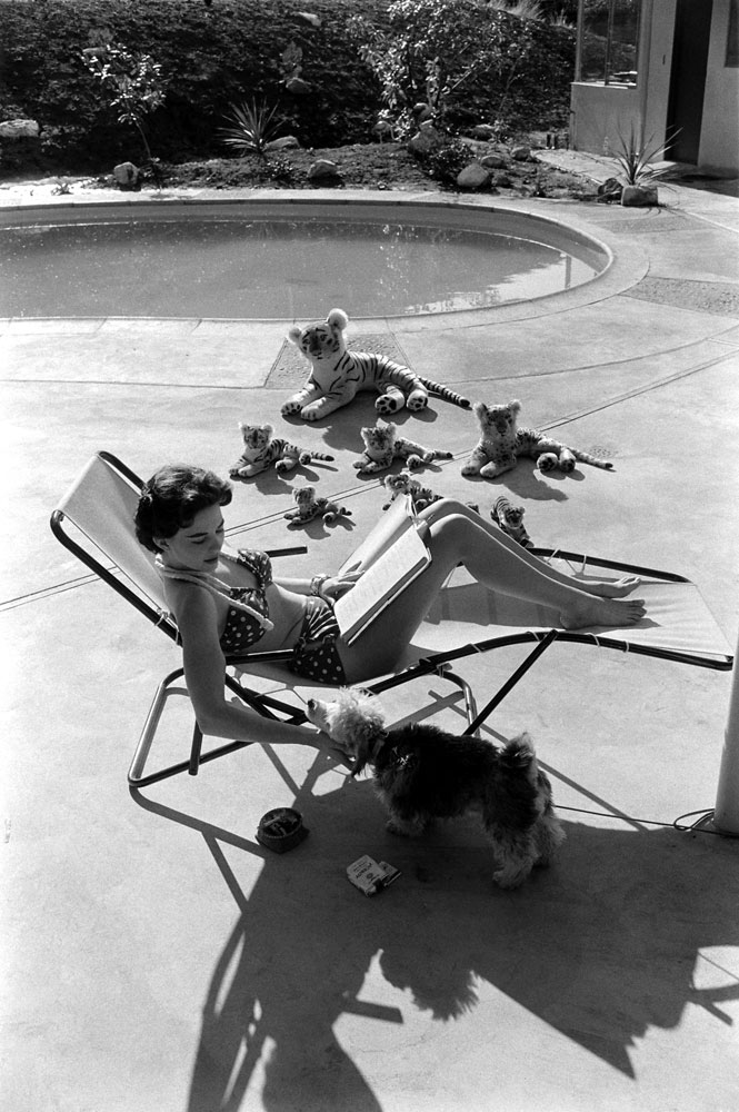 Natalie Wood sits poolside with a poodle in 1956