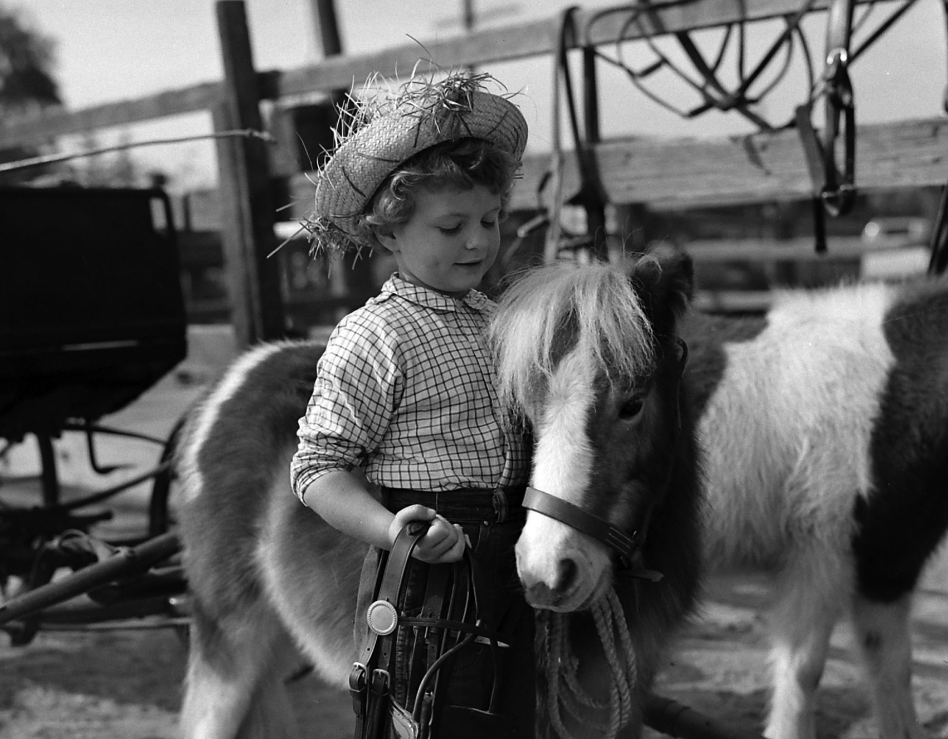 A young girl with Chauncey the miniature horse.