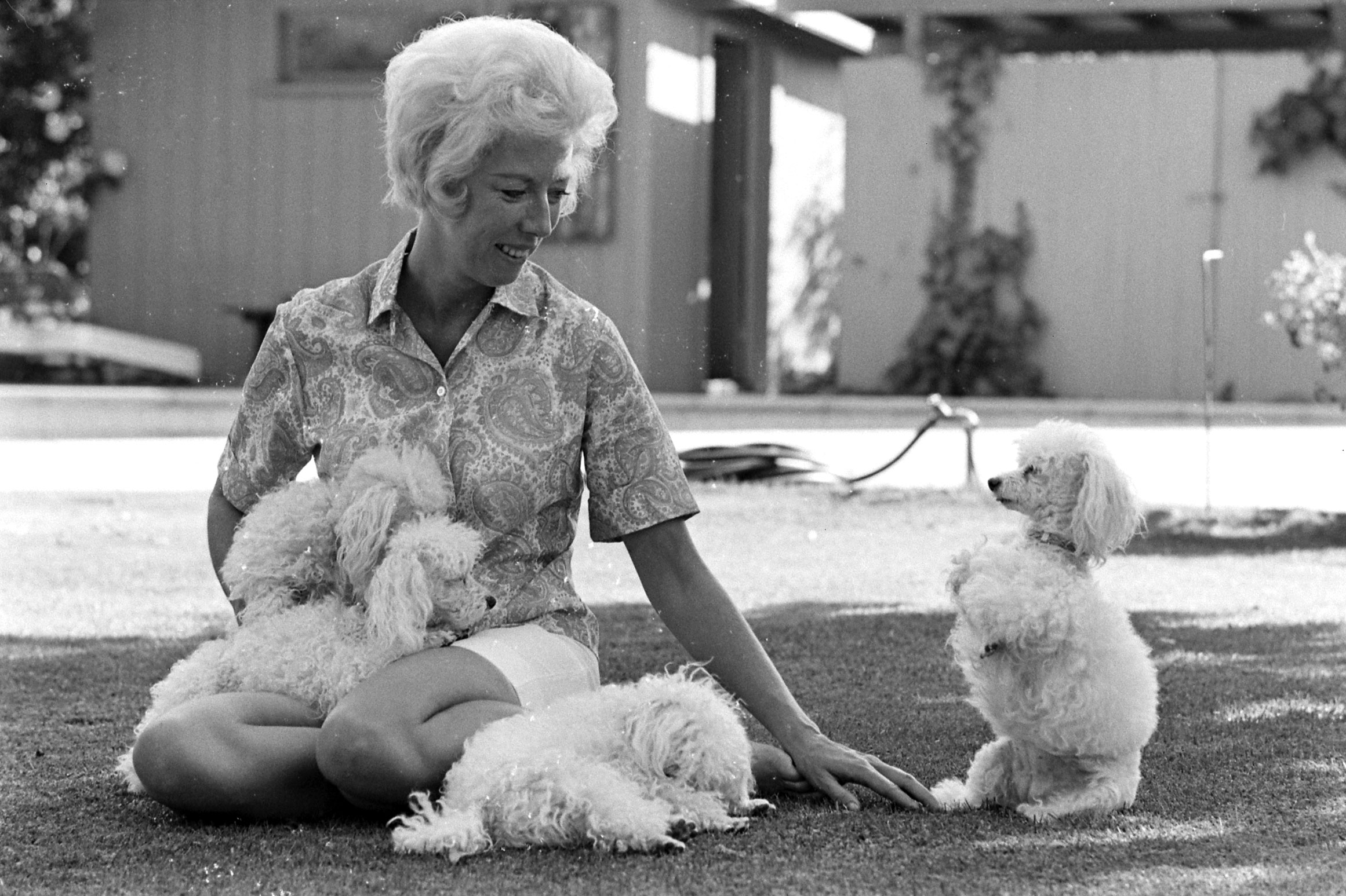Margaret Keane with her 4 white poodles: Rembrandt, Degas, Mastisse and Gauguin.