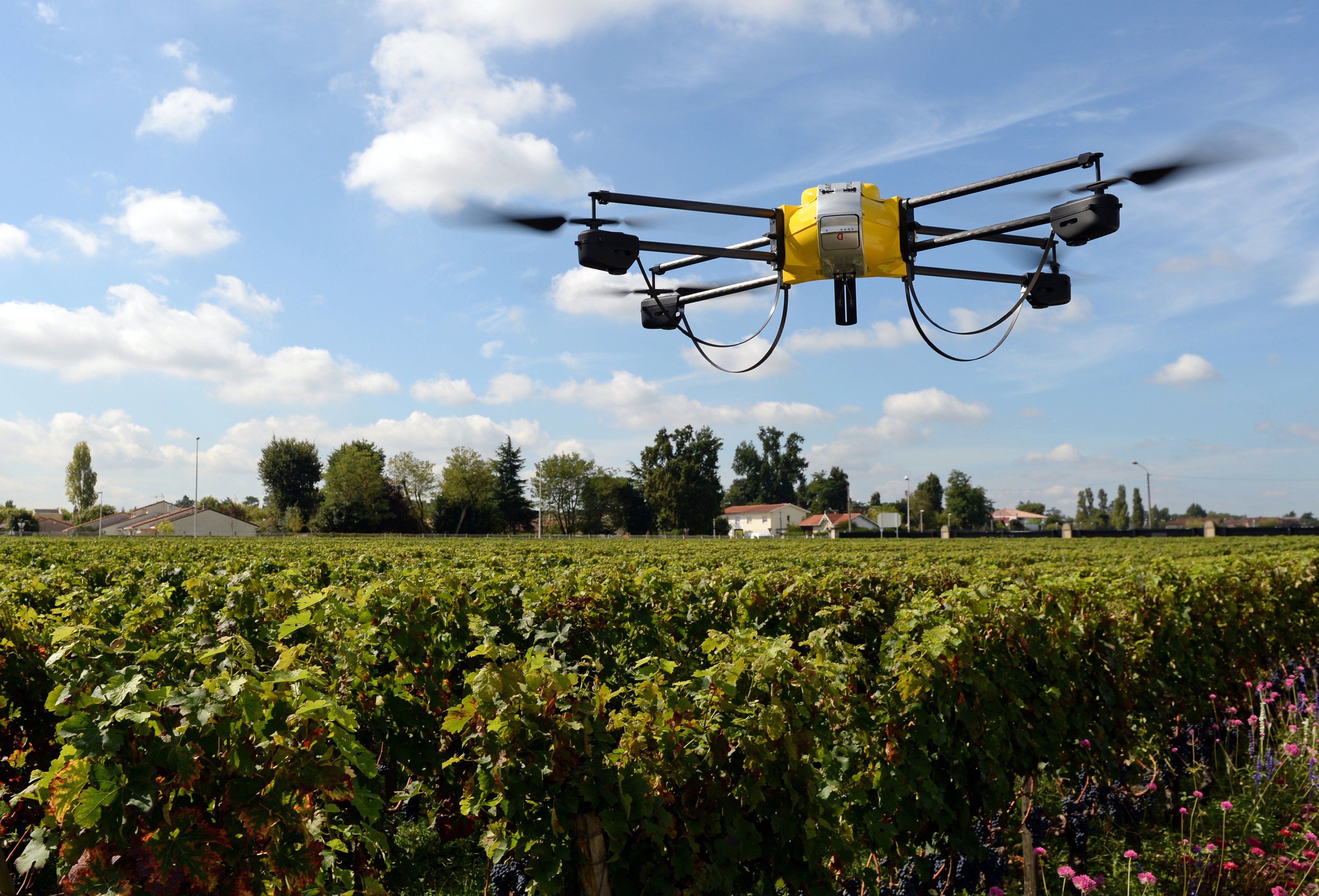 A photo taken on September 9, 2014 shows a drone flying over vineyards of the Pape Clement castle in the soutwestern French town of Pessac. (Jean Pierre Muller—AFP/Getty Images)