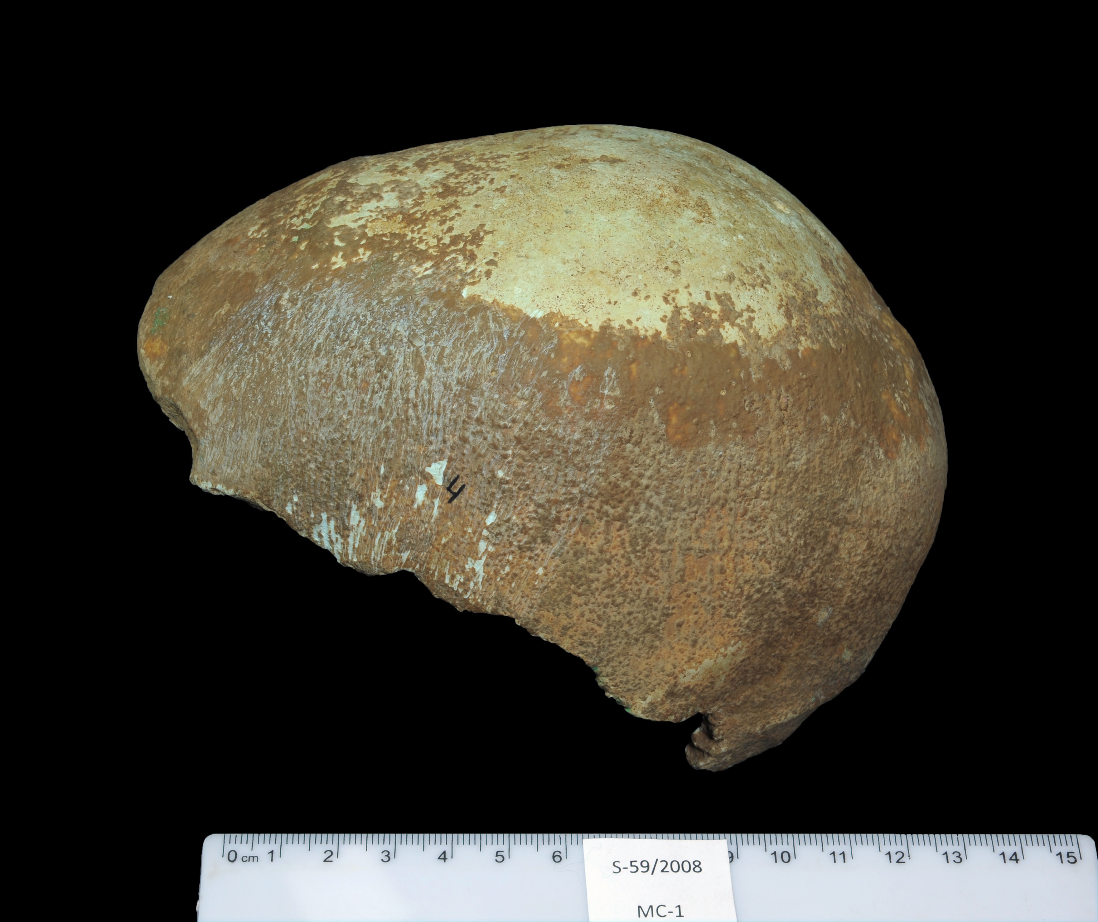 This undated photo provided by the Israel Antiquities Authority on Jan. 27, 2015, shows a partial human skull excavated from a cave in Israel's western Galilee region (Clara Amit—AP)