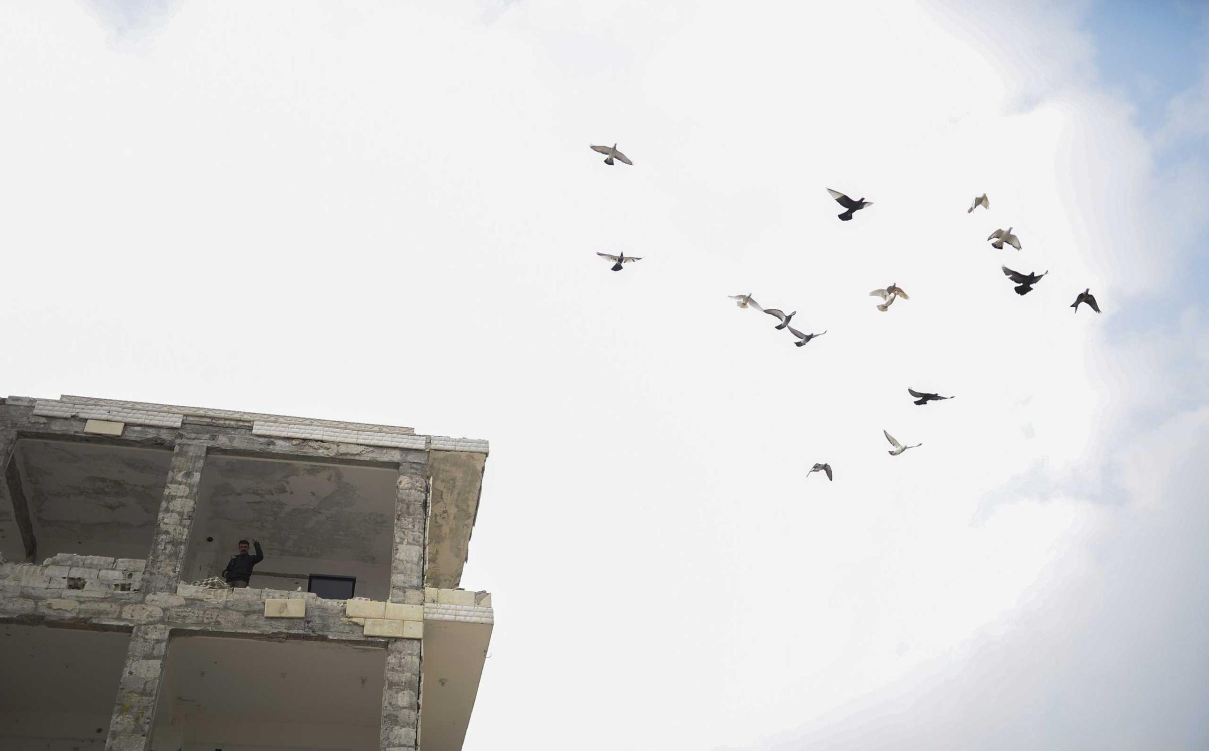 A Kurd stands in a building as pigeons fly over in the center of Kobani, on Jan. 28, 2015.