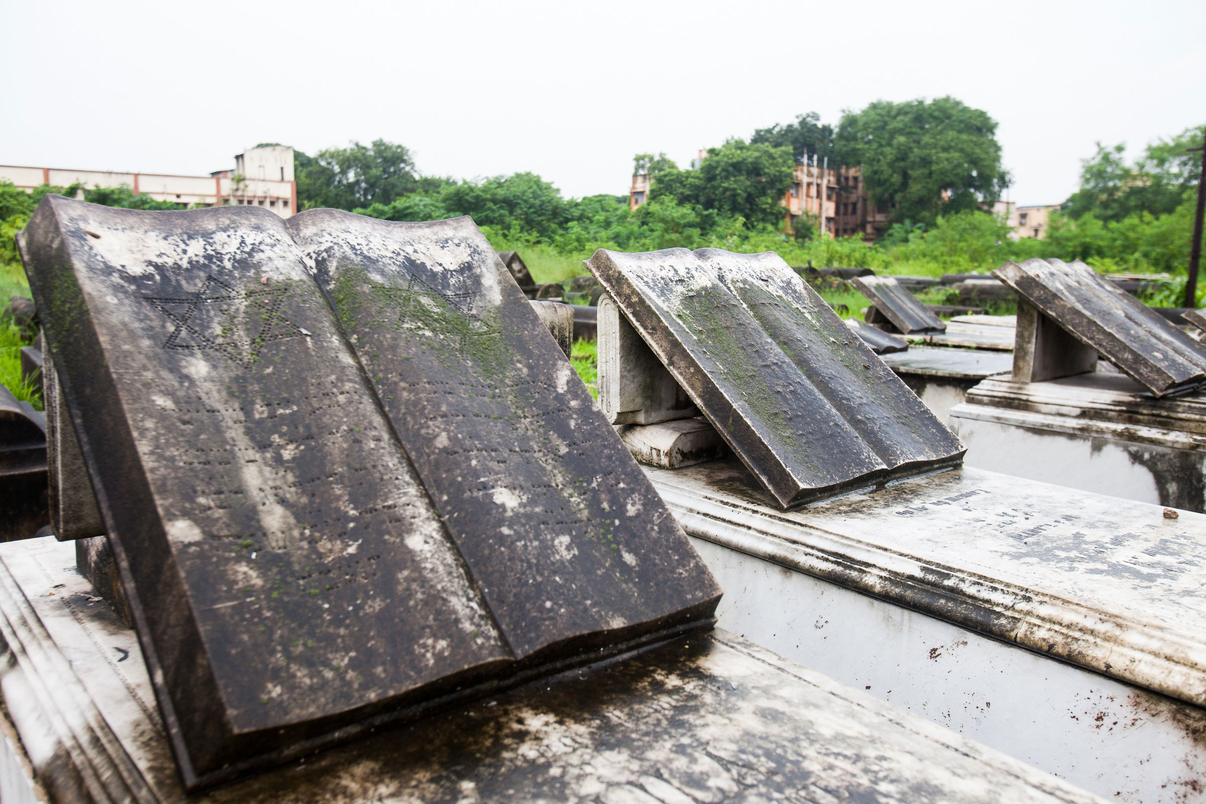 The Jewish cemetery in Calcutta is over 150 years old and consists of about 2,000 Jewish tombs along with those of Russians and Polish Jews. Usually the more elaborate and rectangular graves are those of Ashkenazy Jews. That could represent a prayer book and some have flower motifs. Bagdadi graves are rounded and have no decorative features.