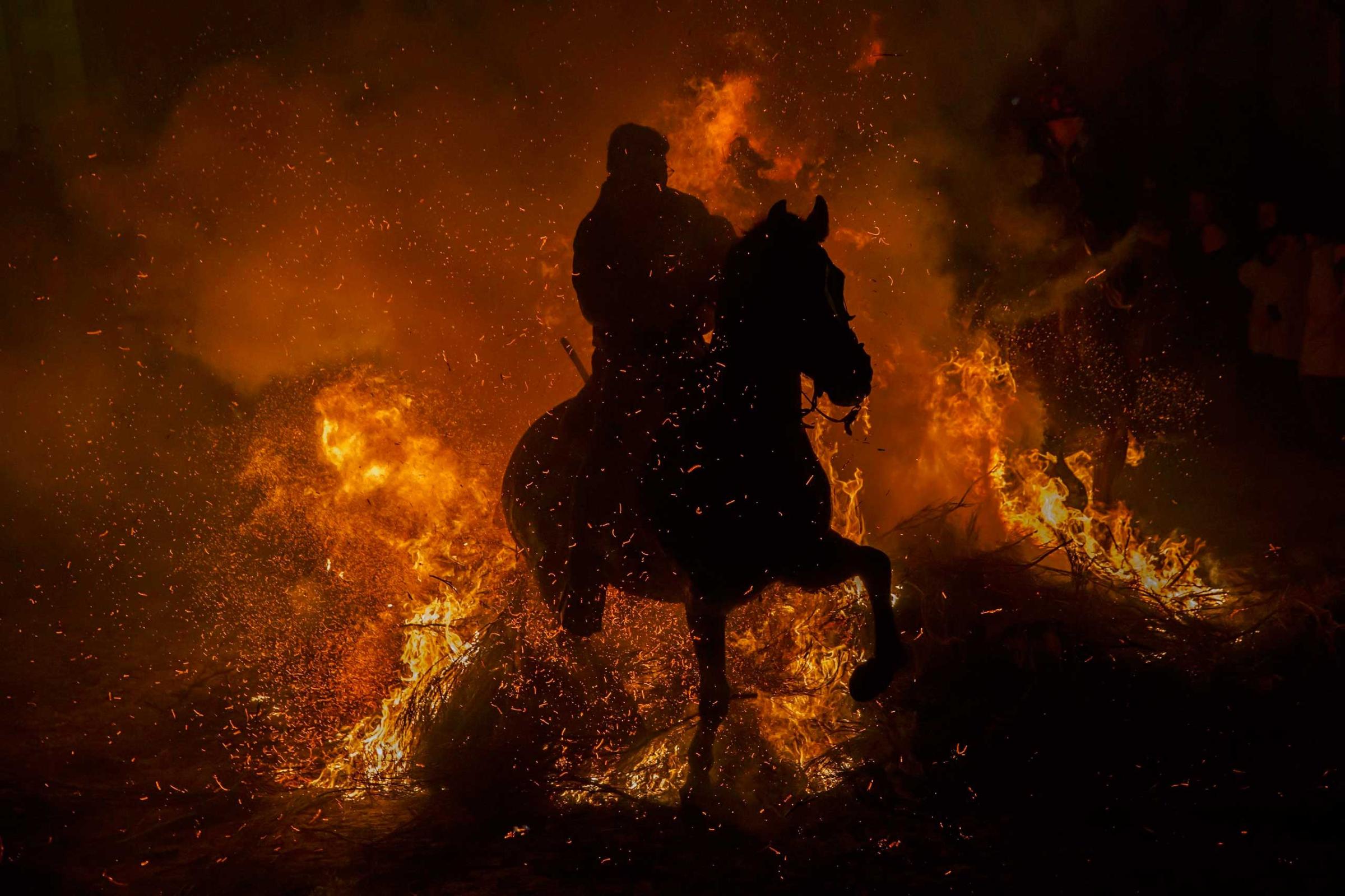 A man rides his horse through flames during the "Luminarias" annual religious celebration, on the night before Saint Anthony's, patron of animals, in the village of San Bartolome de los Pinares