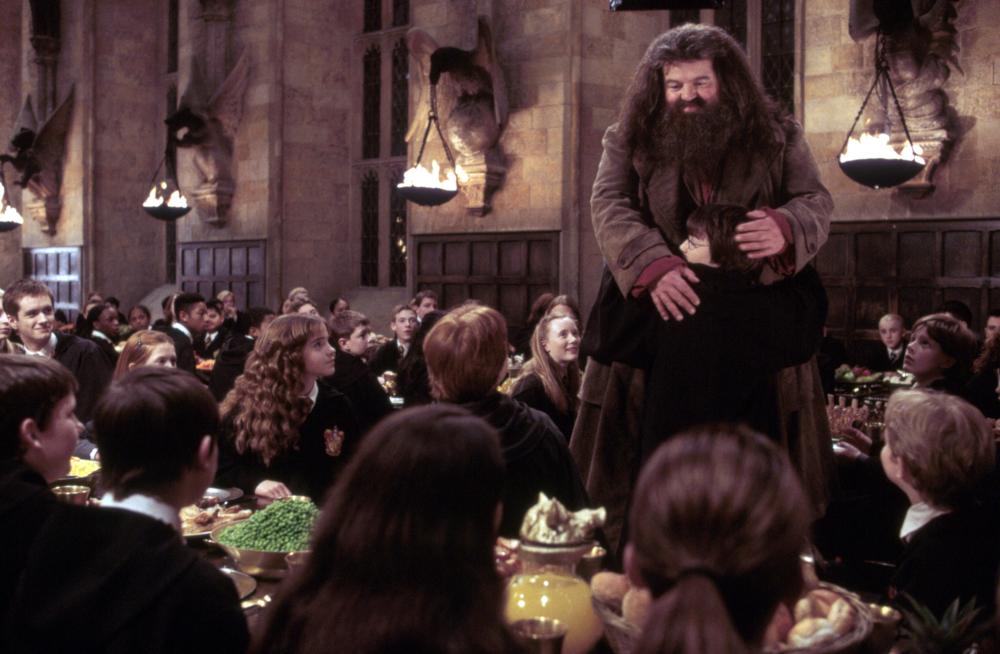 Robbie Coltraine as Hagrid in <i>Harry Potter and the Chamber of Secrets</i> (Warner Bros.)