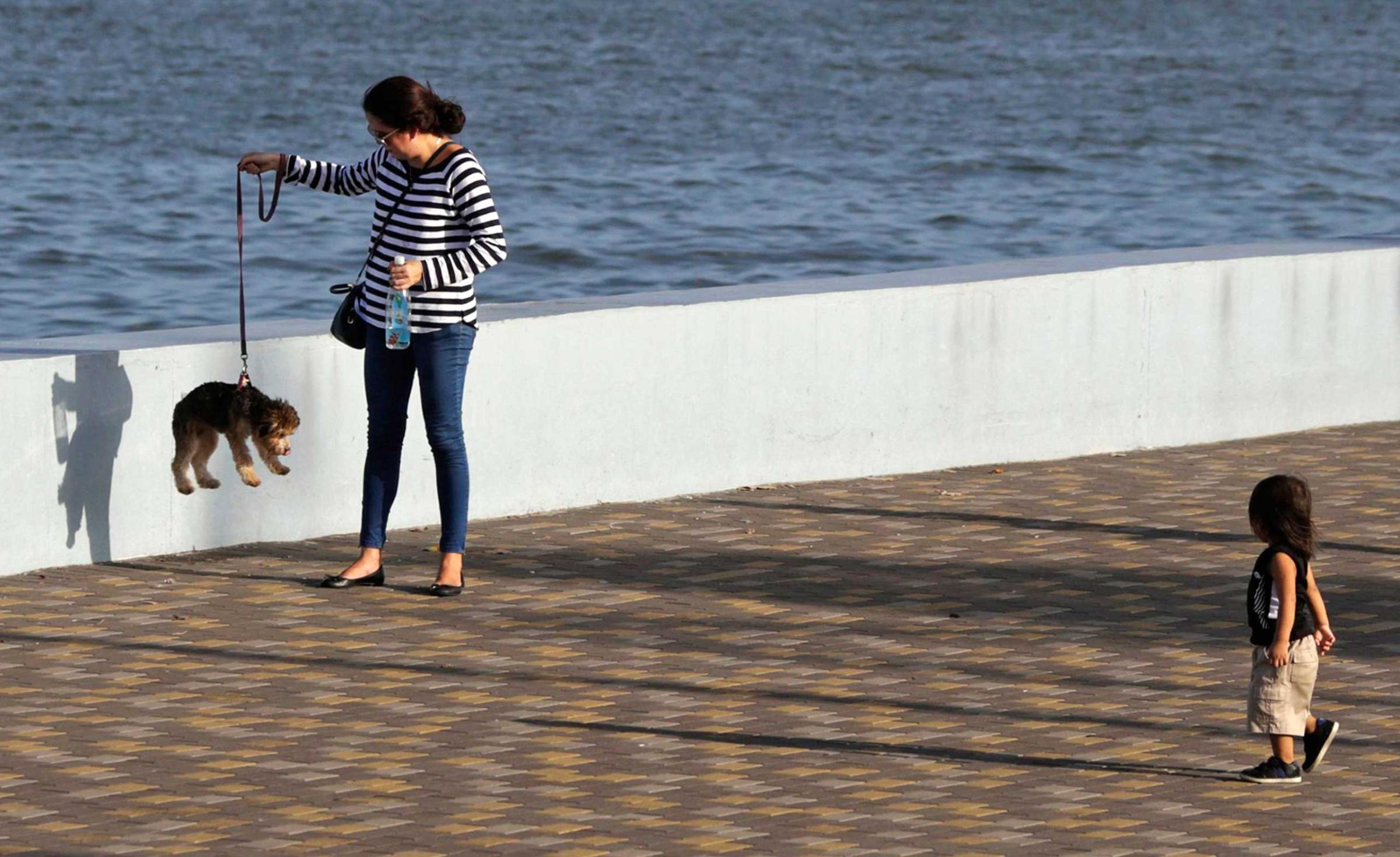 A woman lifts a dog on a leash along the seafront in Panama City