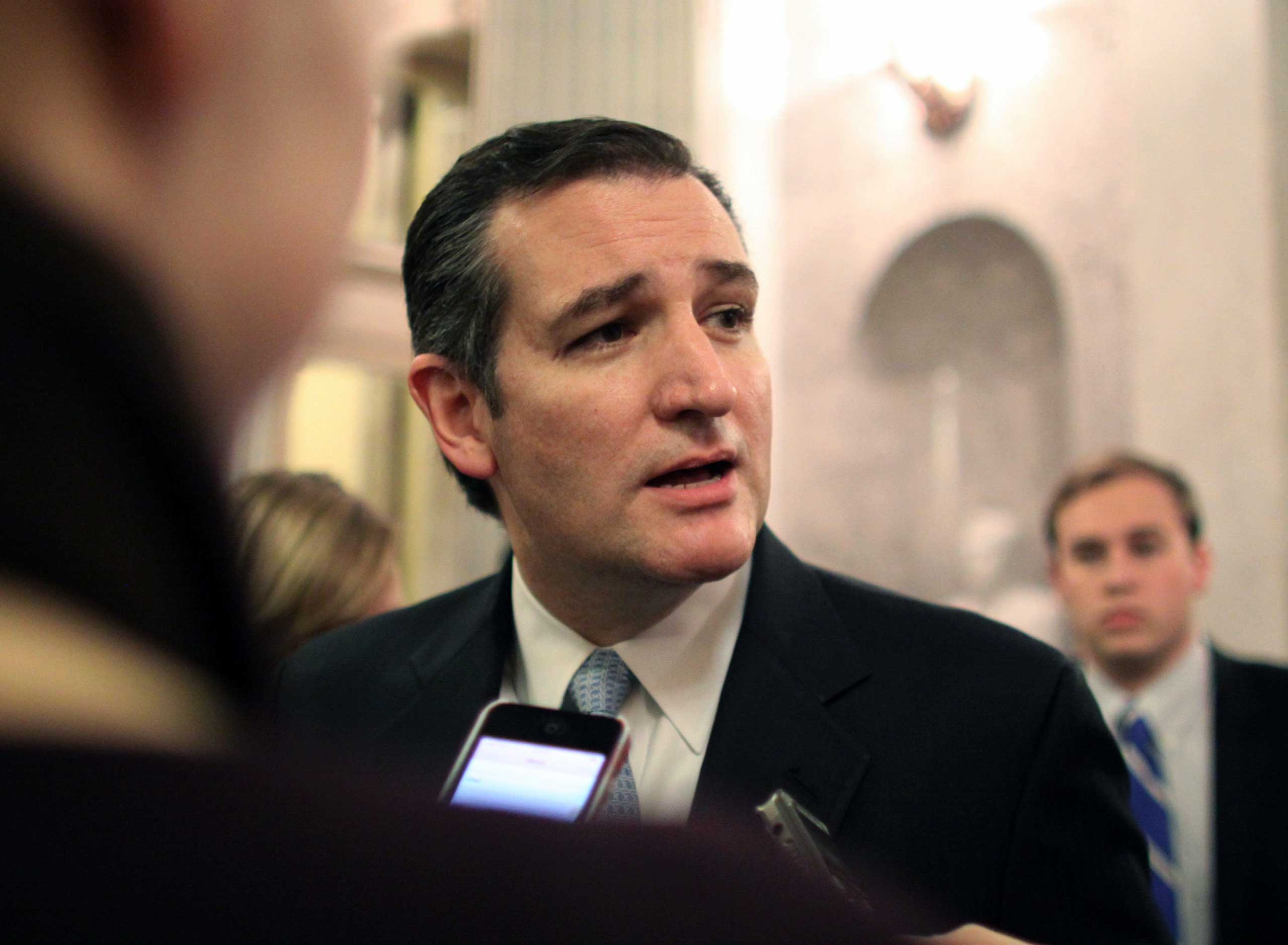 Sen. Ted Cruz (R-TX) speak to reporters on Dec. 13, 2014 on Capitol Hill in Washington. (Lauren Victoria Burke—AP)