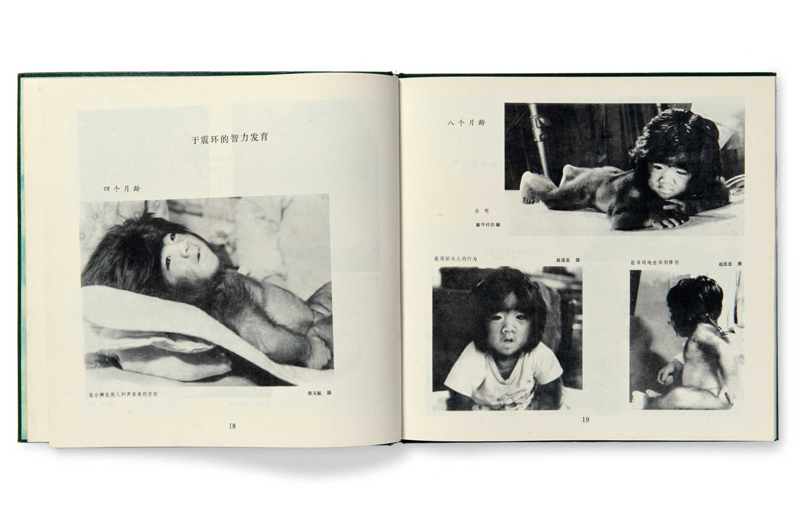 Interior and spread from The Hairy People of China. Shenyang, China: Liaoning Science and Technology Publishing
                              House, 1982