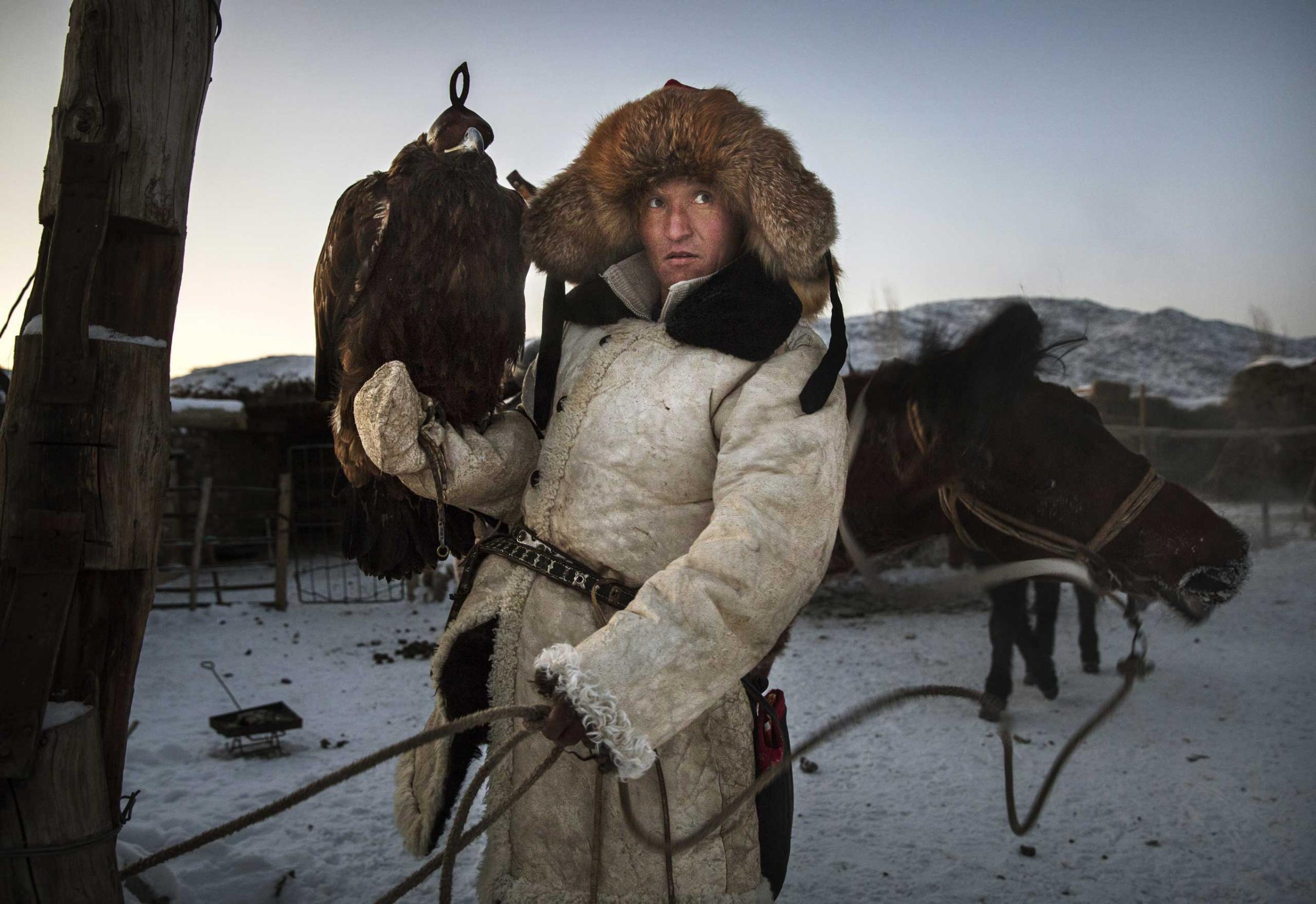 Chinese Kazakh eagle hunter Yermazhan Beysenbay holds his eagle as he ties up his horse after riding before a local competition.
