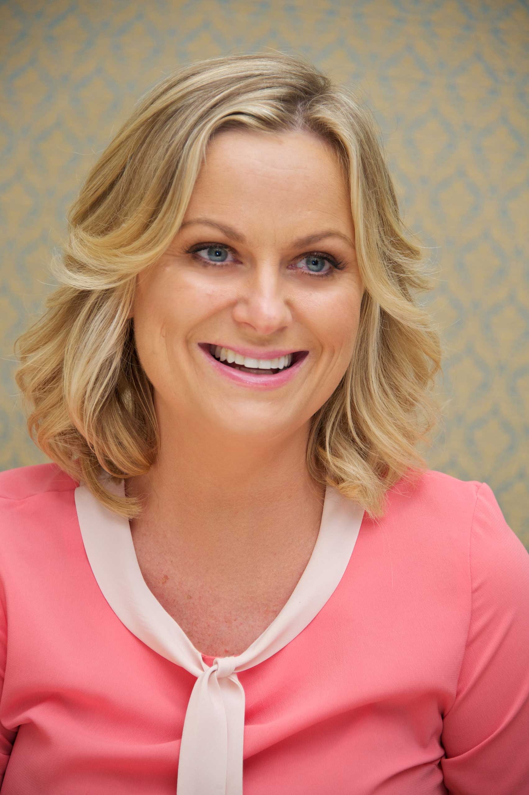 BEVERLY HILLS, CA - OCTOBER 15: Amy Poehler at the "Parks &amp; Recreation" Press Conference at the Four Seasons Hotel on October 15, 2013 in Beverly Hills, California. (Photo by Vera Anderson/WireImage)