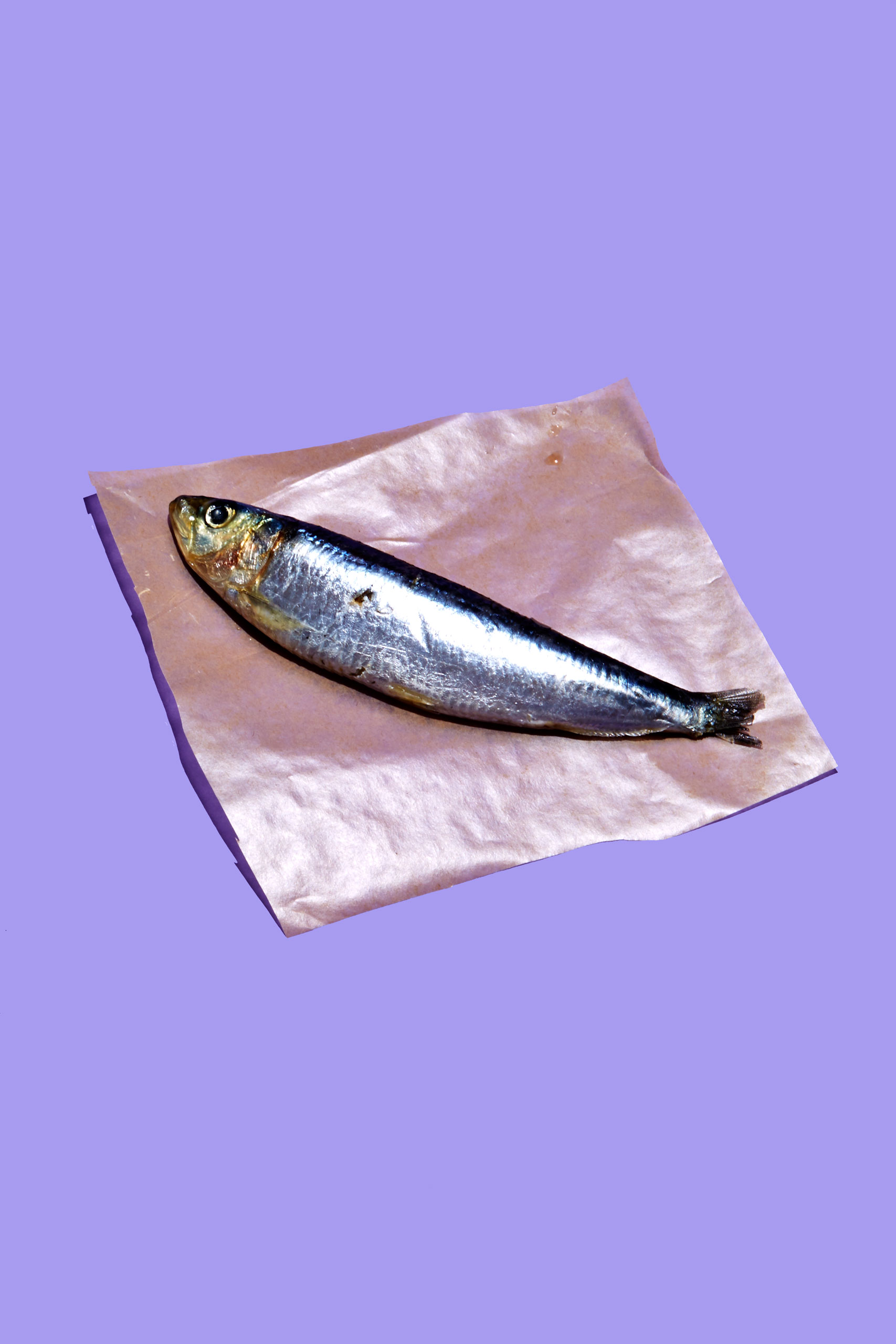 healthiest foods, health food, diet, nutrition, time.com stock, sardines, fish, protein