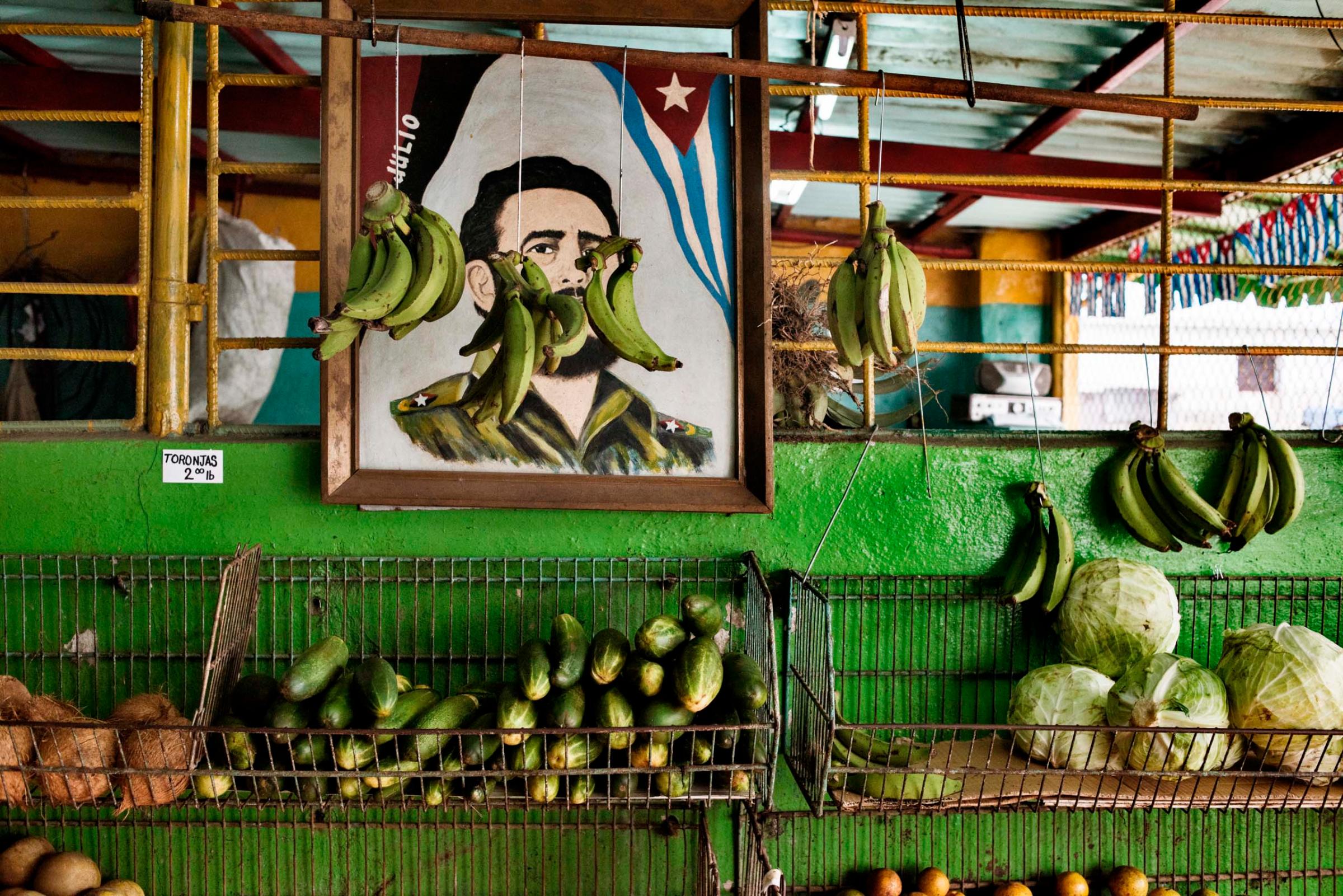December 2014. In a state run market, a portrait of Fidel Castro is seen among fruit and vegetables. Because of limited food supply, Cubans depend on monthly rations for basic staples like rice and beans.