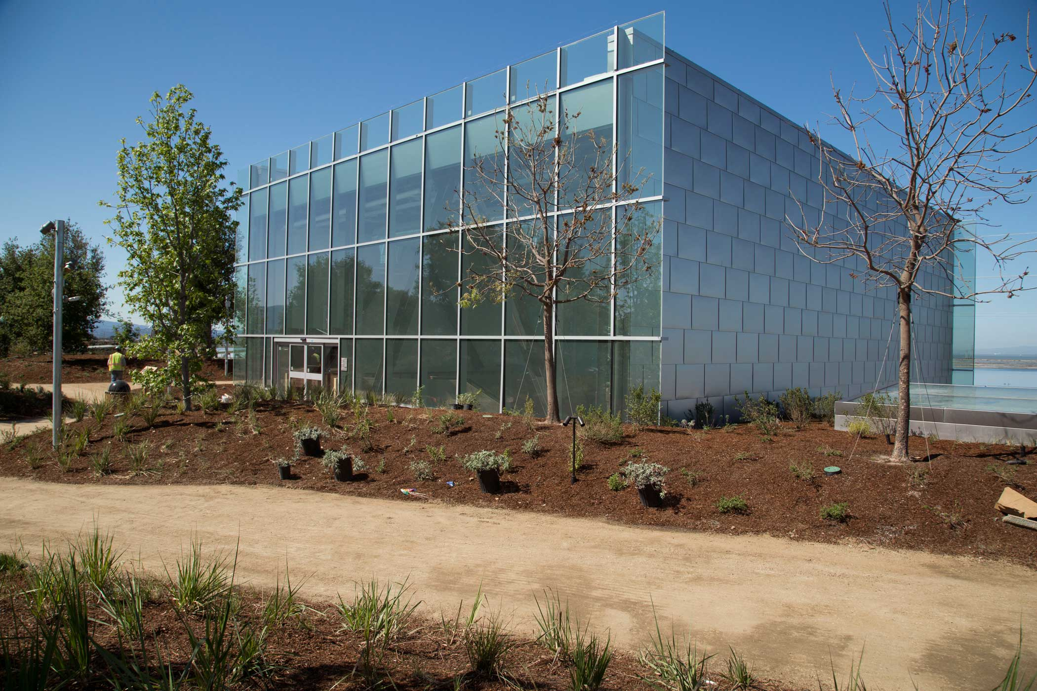 Facebook New Campus Green Roof