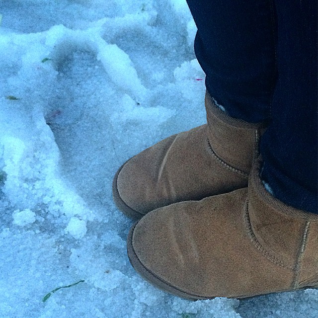 Instagram user gr3enlotus declared the snow  something you never see.
