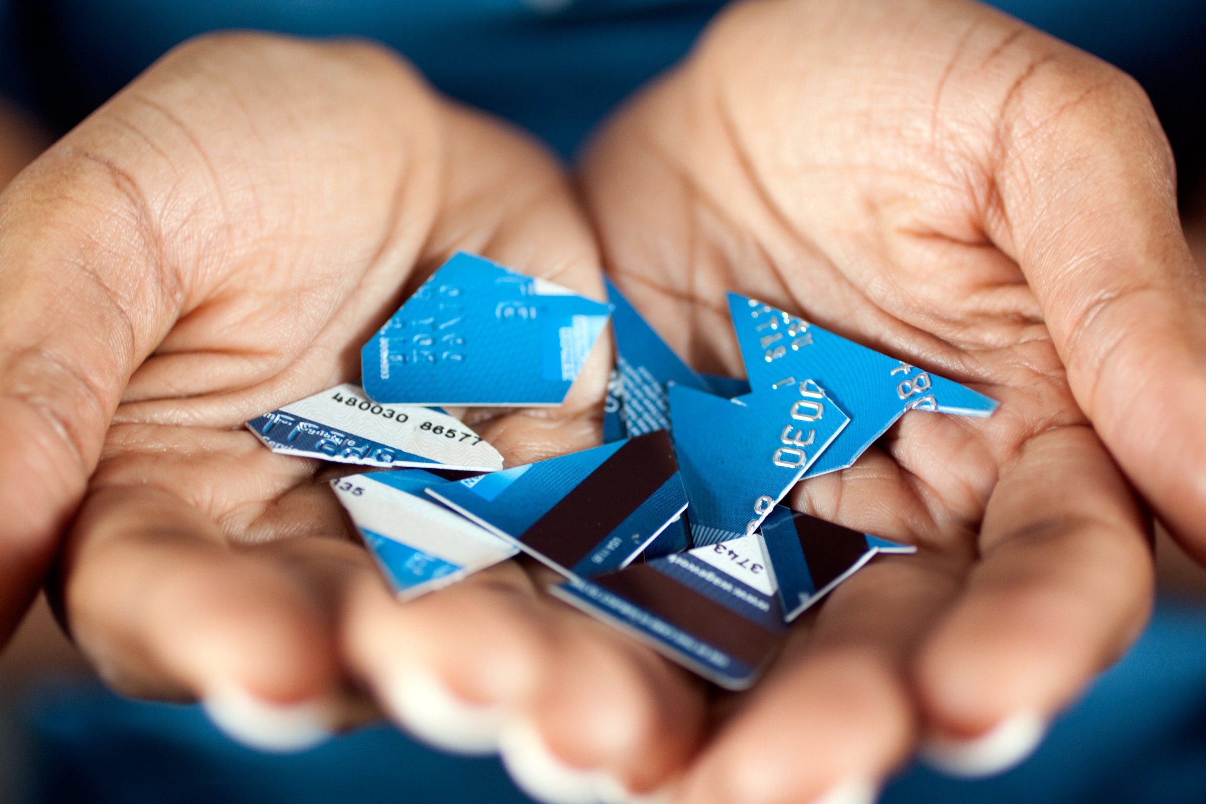 pieces of credit card in hands
