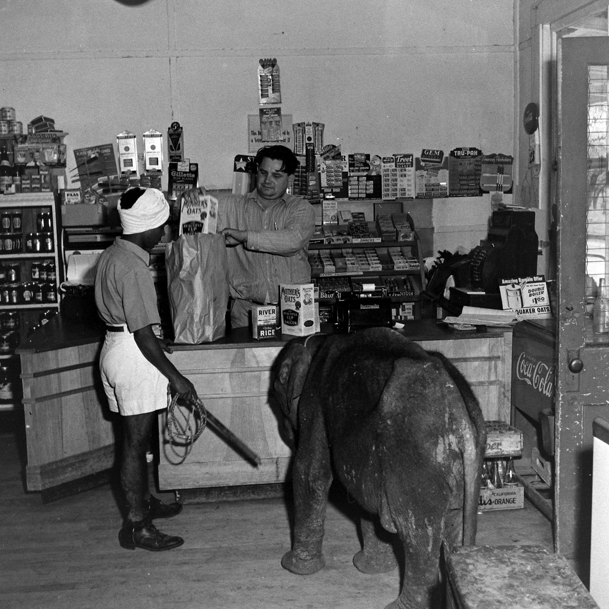 "Butch" the baby elephant shopping with her keeper, Singh.