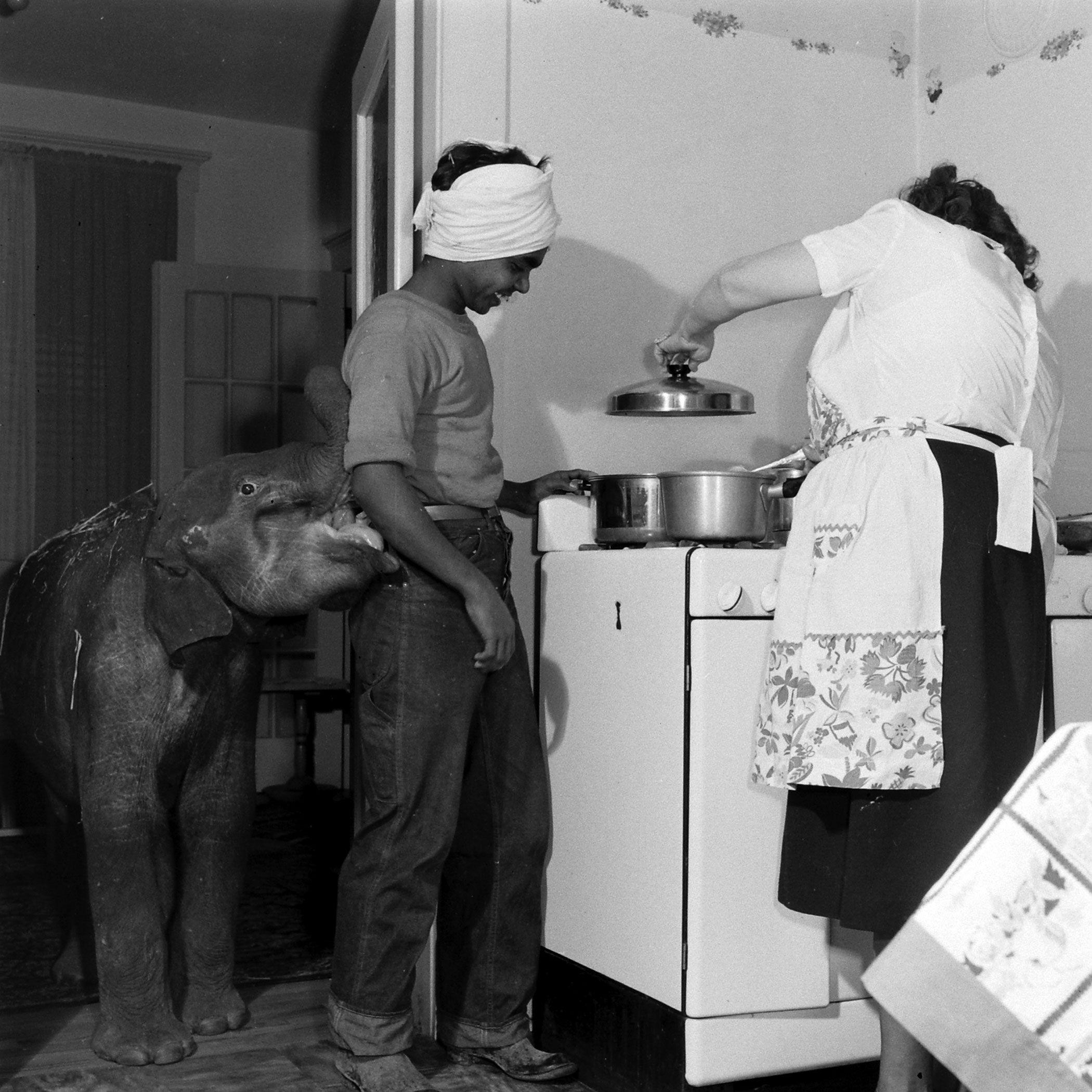 "Butch" the baby elephant with her keeper Singh in the Davenport kitchen.