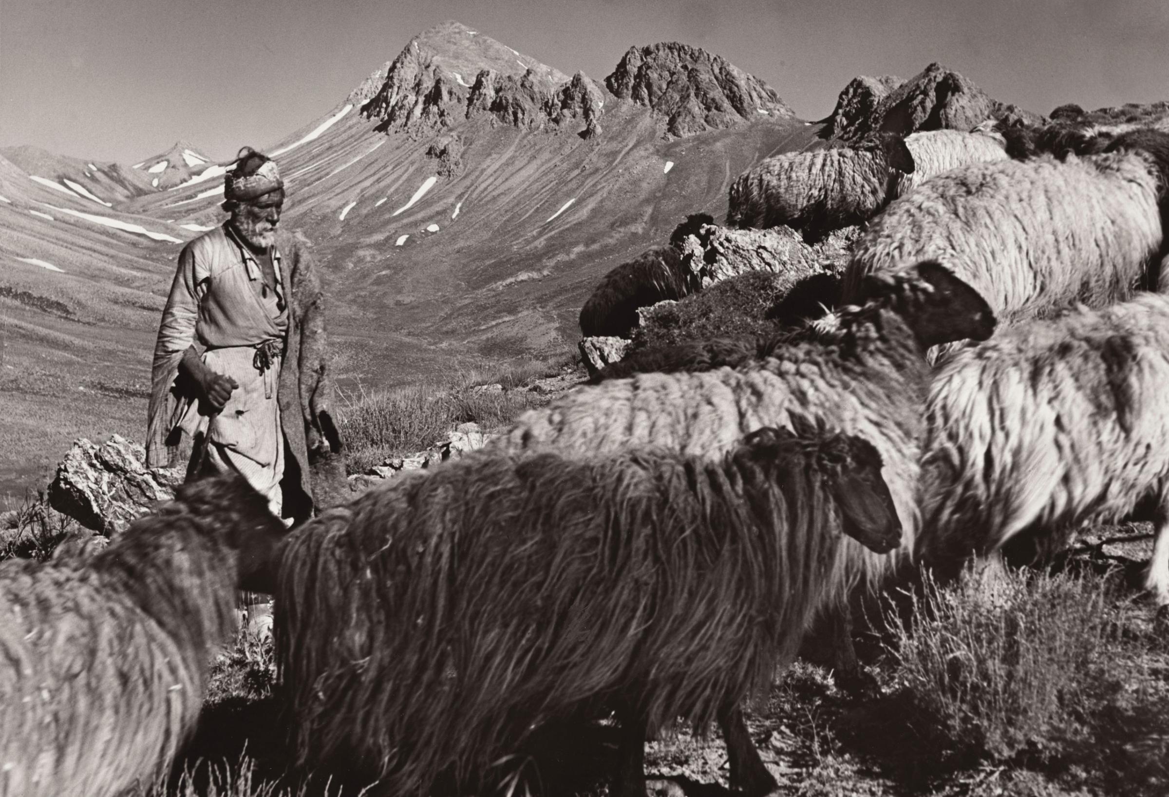Qashqai nomadi shepherd, Iran, 1946.