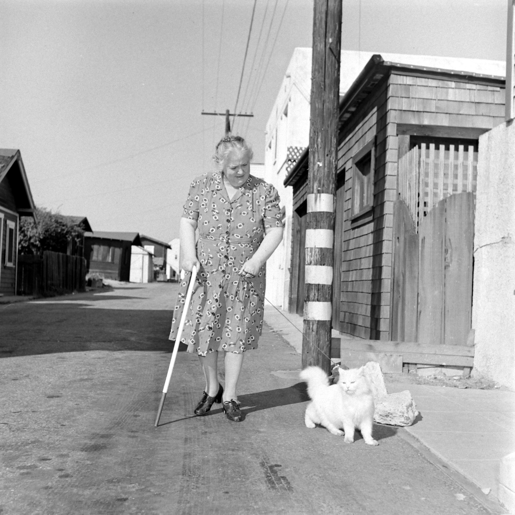 Seeing eye cat, 1947