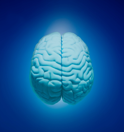 human-brain