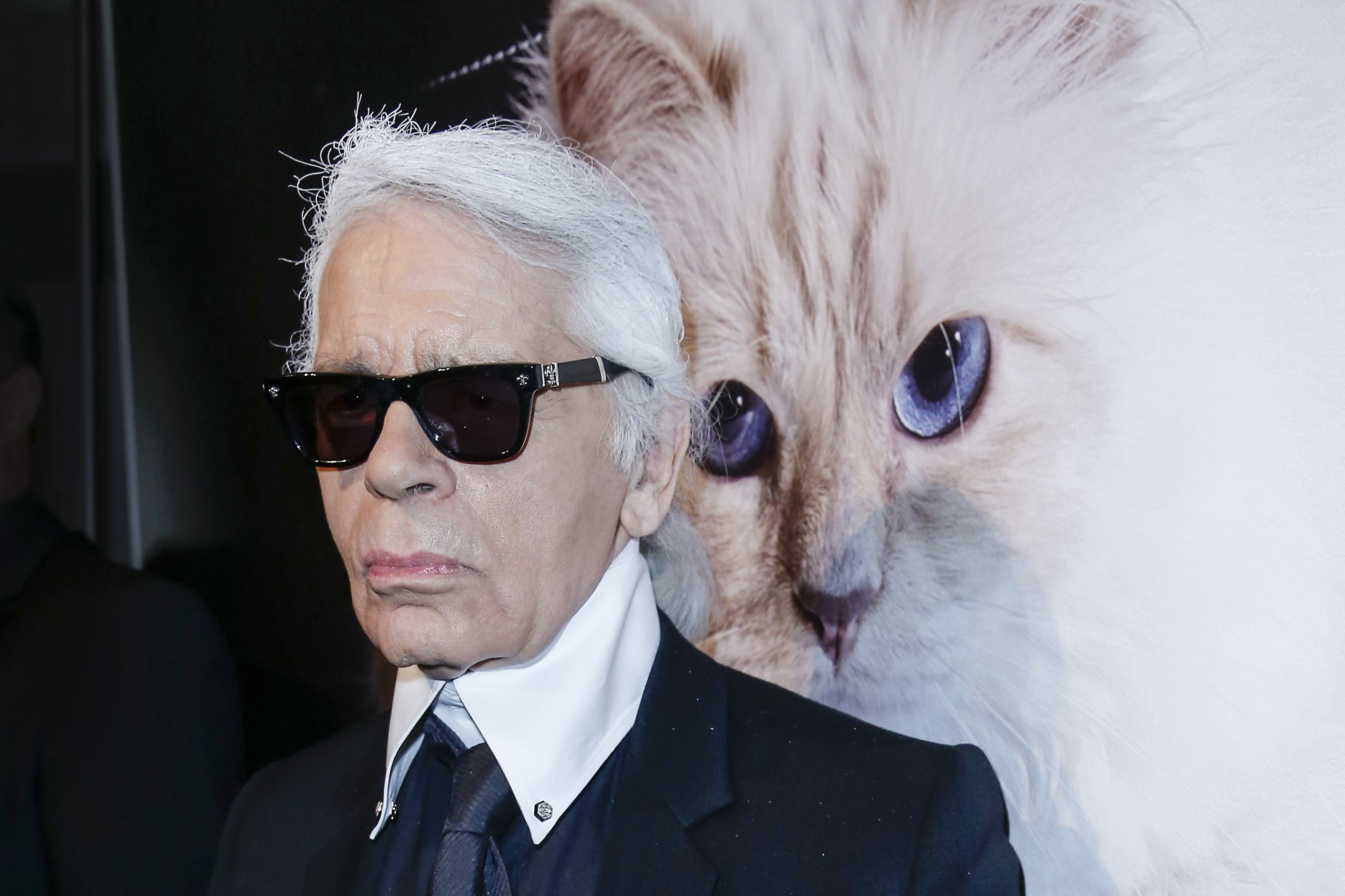 Karl Lagerfeld and cat, Choupette (Franziska Krug&mdash;Getty Images)