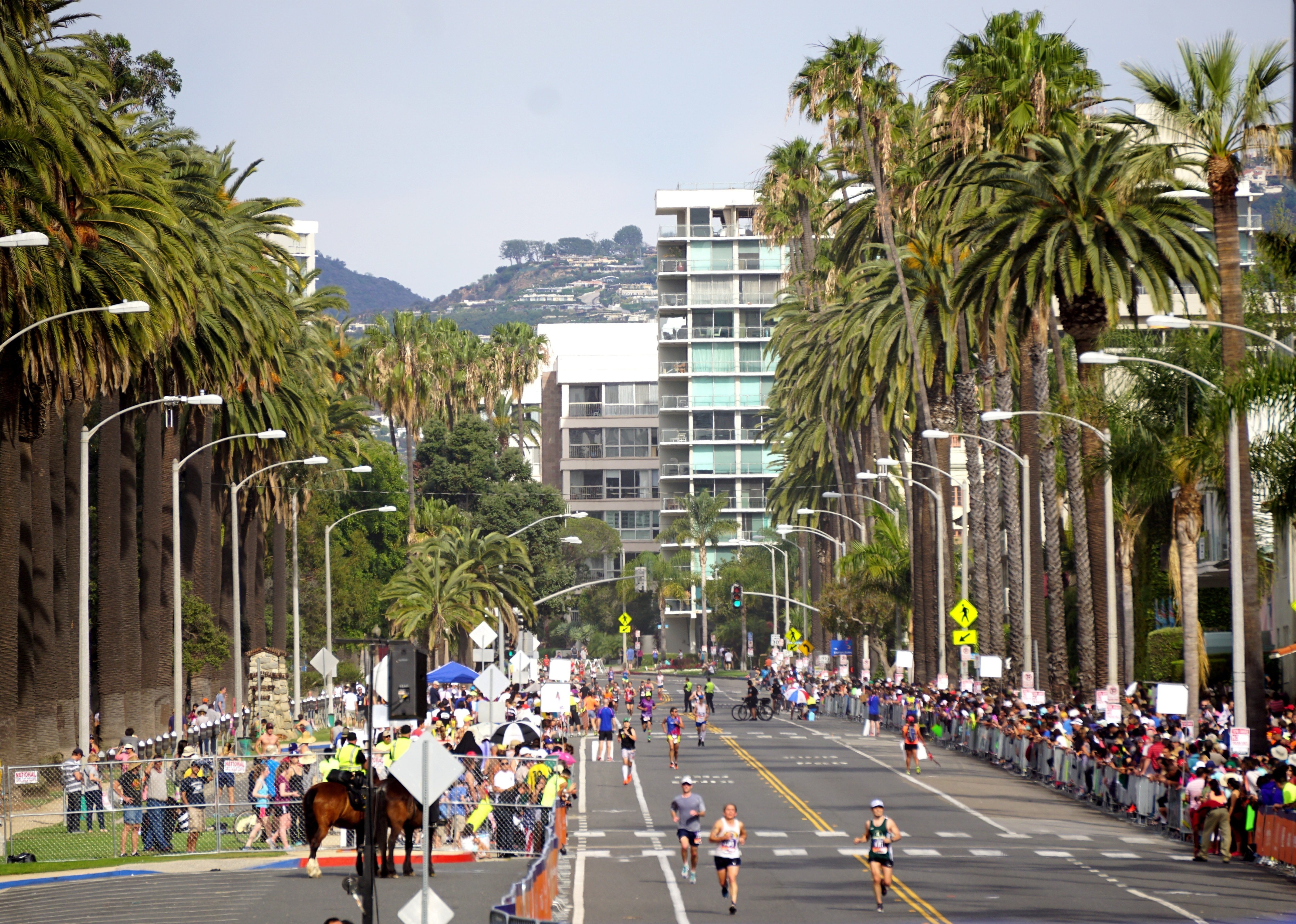 The 2015 Los Angeles Marathon held in Los Angeles on March 15, 2015 (Mintaha Neslihan Eroglu—Anadolu Agency/Getty Images)
