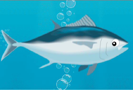 Tuna and Mercury: Is Light Tuna Healthier Than Albacore Tuna? | Time