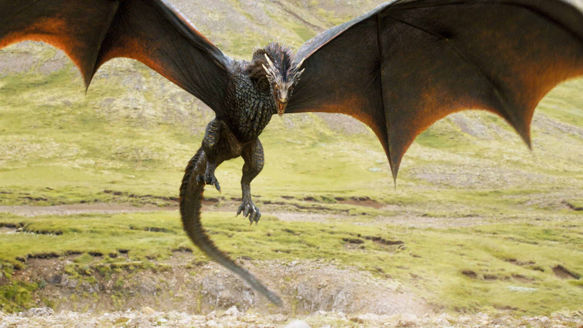 A dragon from HBO's <em>Game of Thrones</em> (HBO)