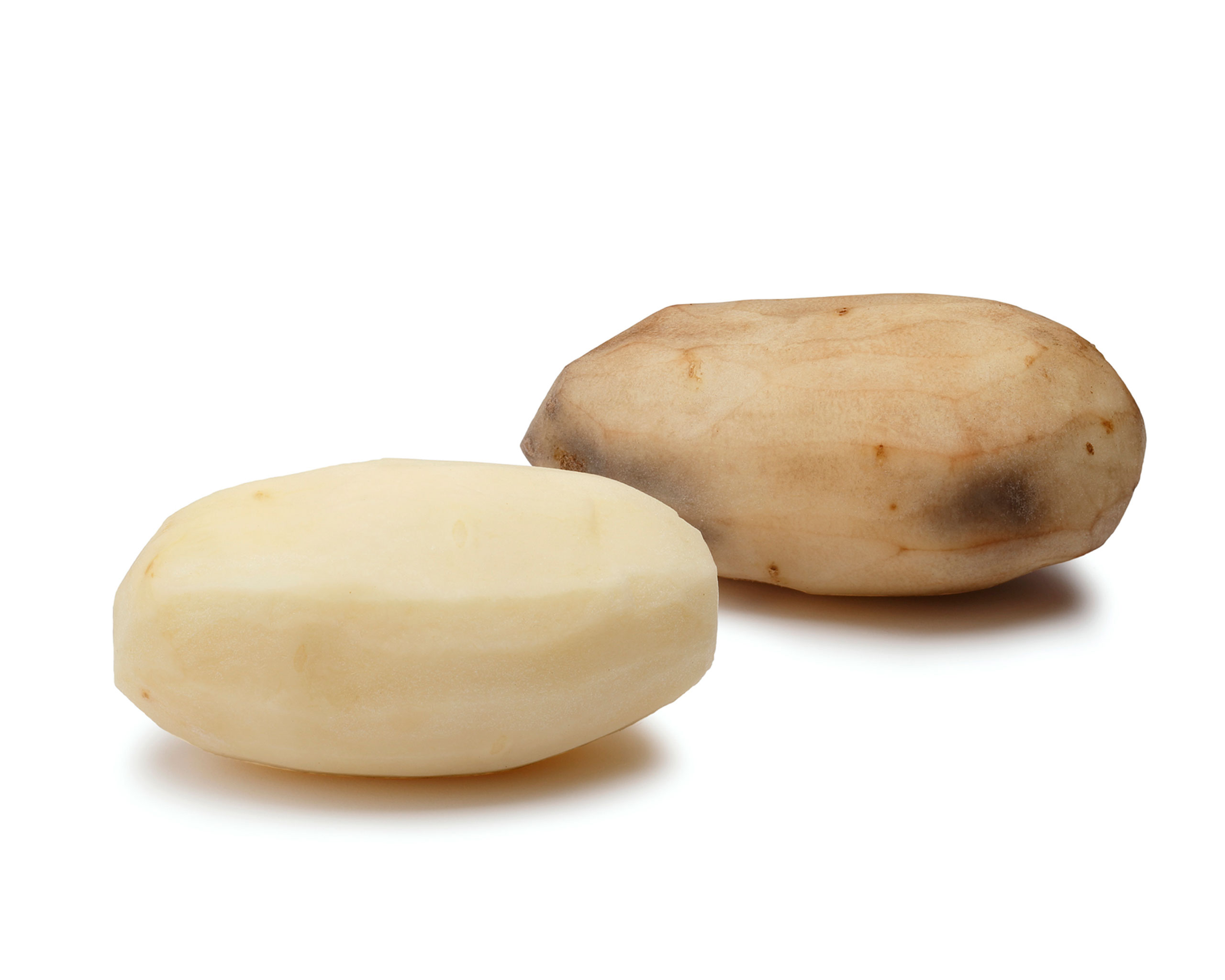 Genetically modified potatoes from the Simplot Corporation. The Food and Drug Administration (FDA) approved the genetically engineered foods as safe, saying they are as nutritious as their conventional counterparts. (Simplot Corporation/AP)