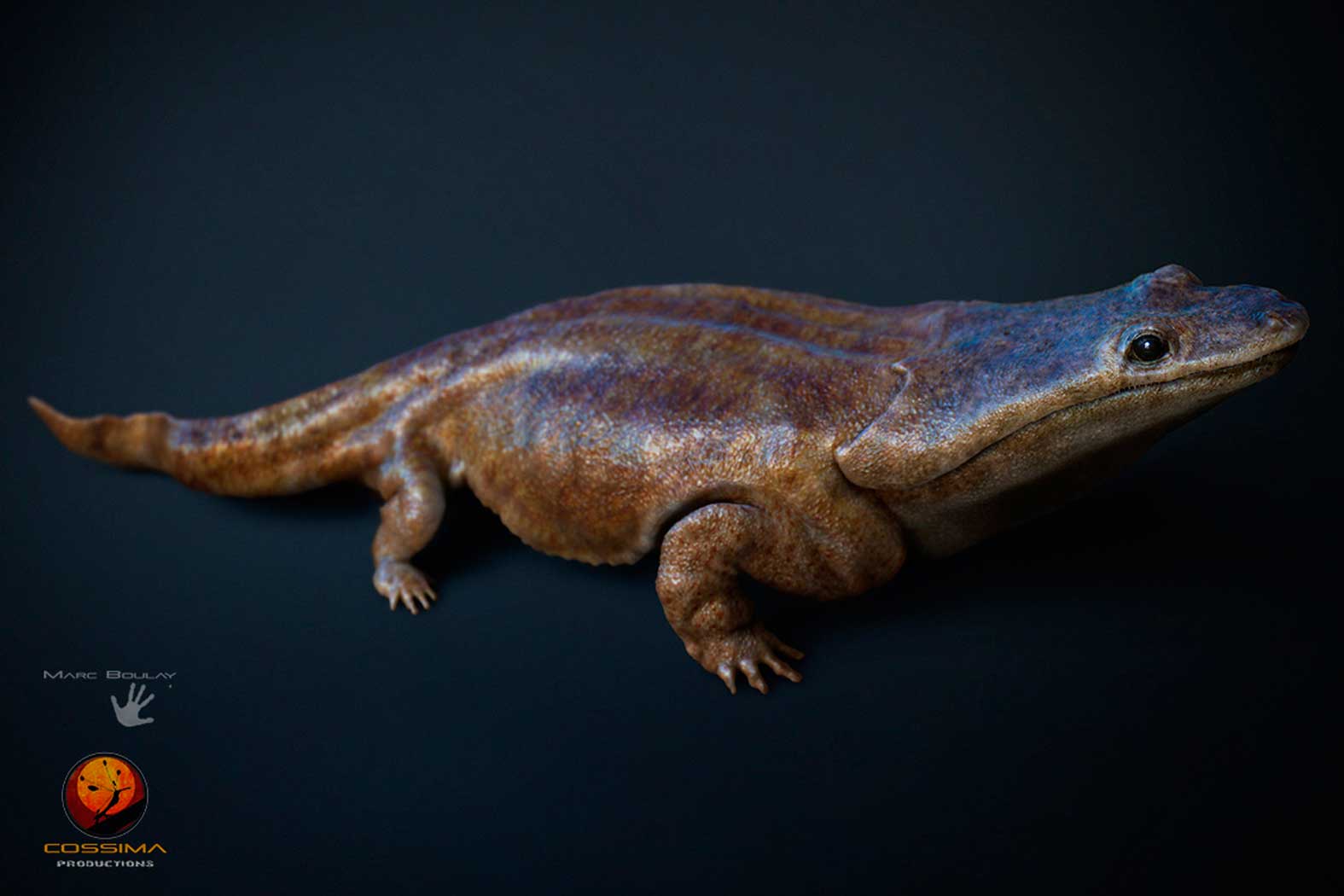 An artist's rendition of a previously unknown species of crocodile-like "super salamander" that roamed the Earth more than 200 million years ago. Image, made available by the University of Edinburgh on Tuesday March 24, 2015. (Marc Boulay–Cossima Productions/University of Edinburgh/AP)