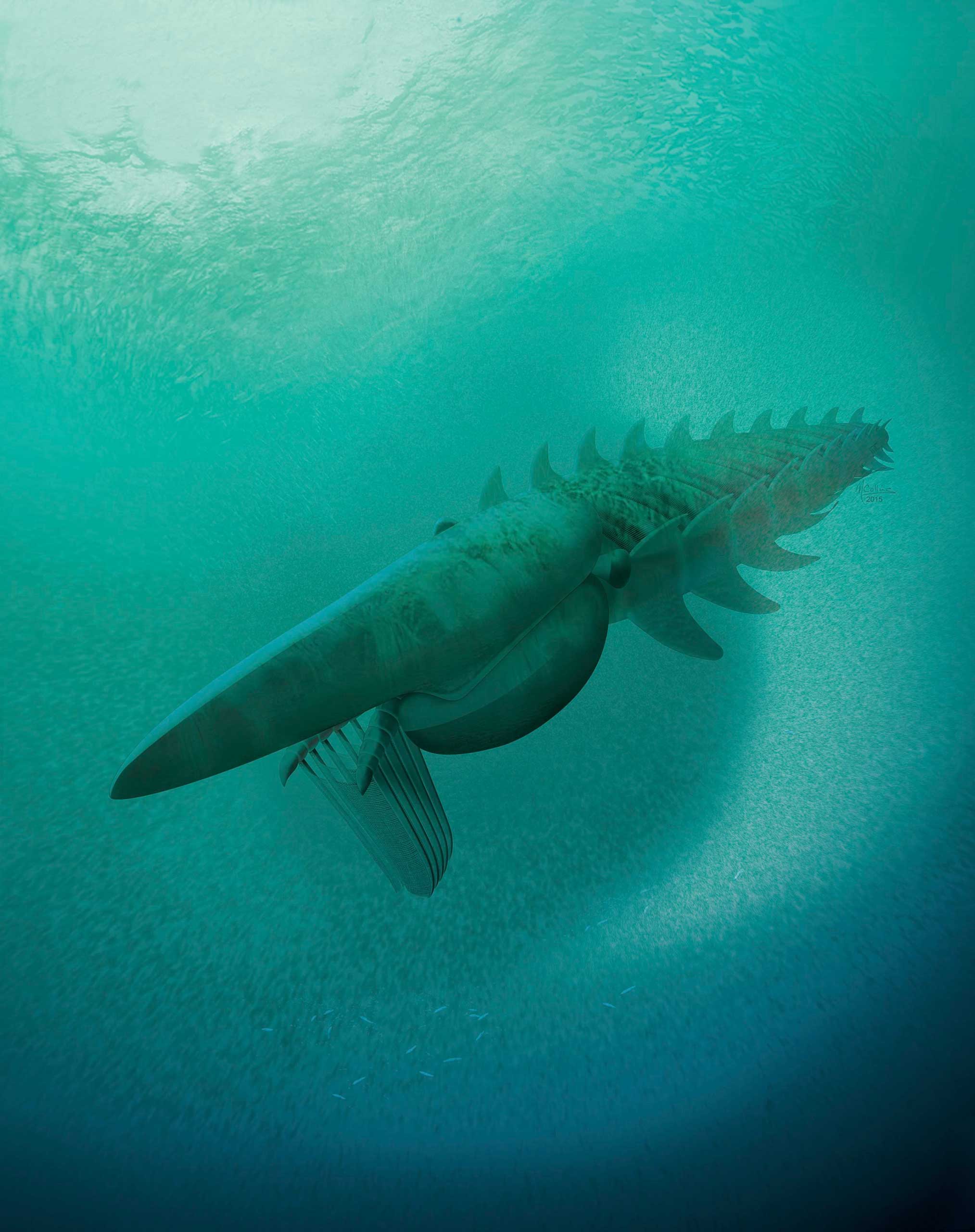 What Is the Largest Animal: This Sea Creature Was Once Seven Feet | Time