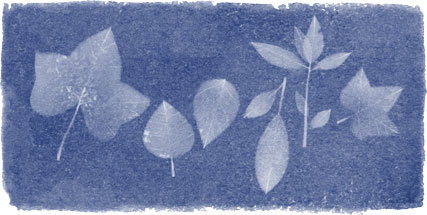 Images of leaves reminiscent to Anna Atkins' photography book are seen in a new Google Doodle. March 16, 2015 (Google)