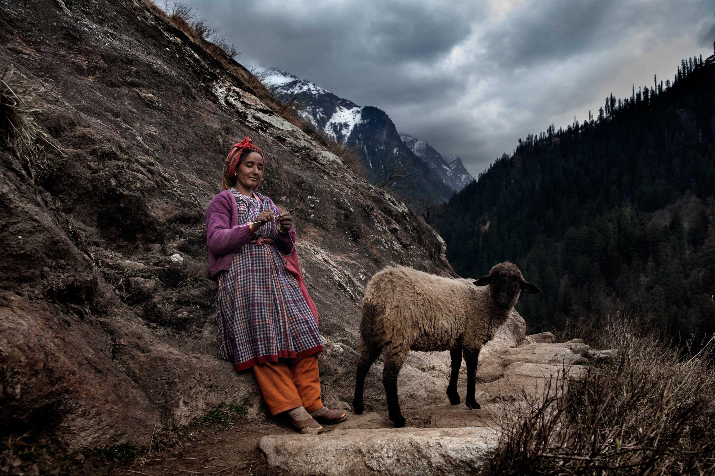 A local woman walks her sheep while weaving wool in Oct. 2011.