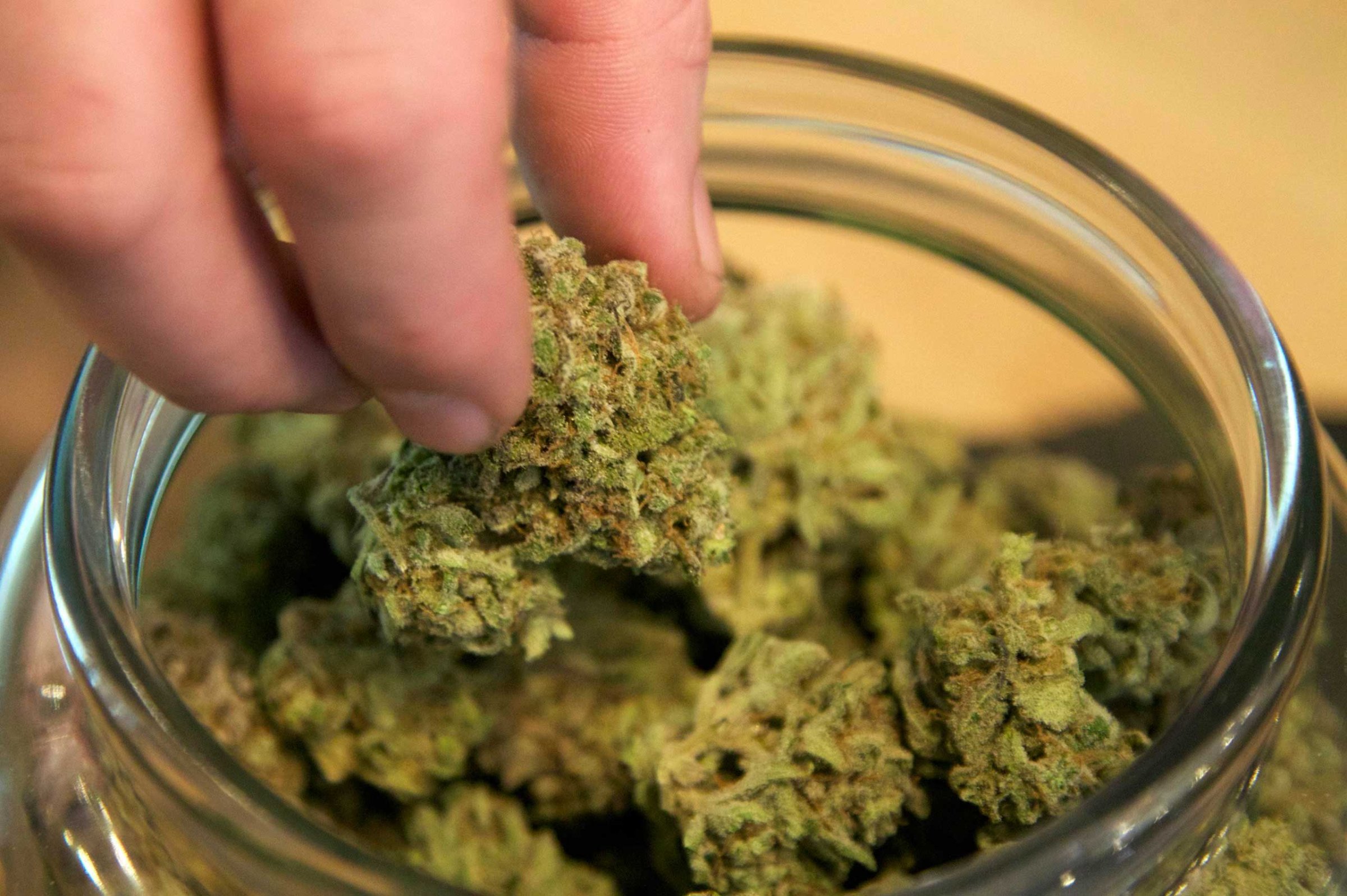 Marijuana Pot Weed Oregon