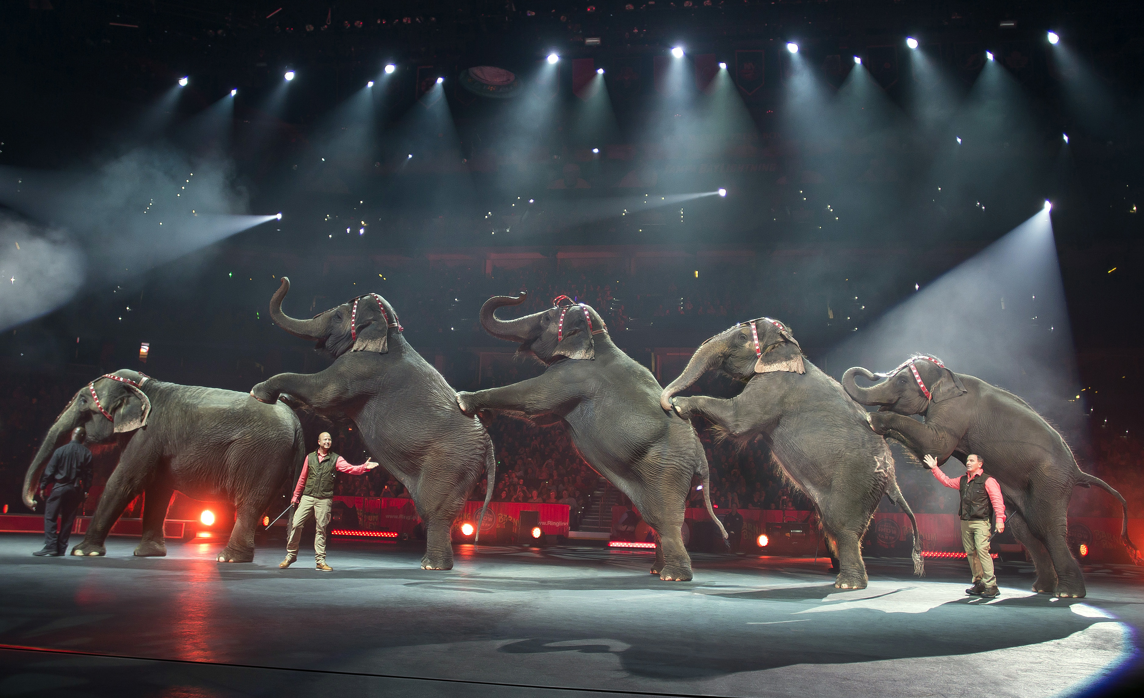 Ringling Bros., Barnum & Bailey: Why Circuses Are Dropping Elephants | Time