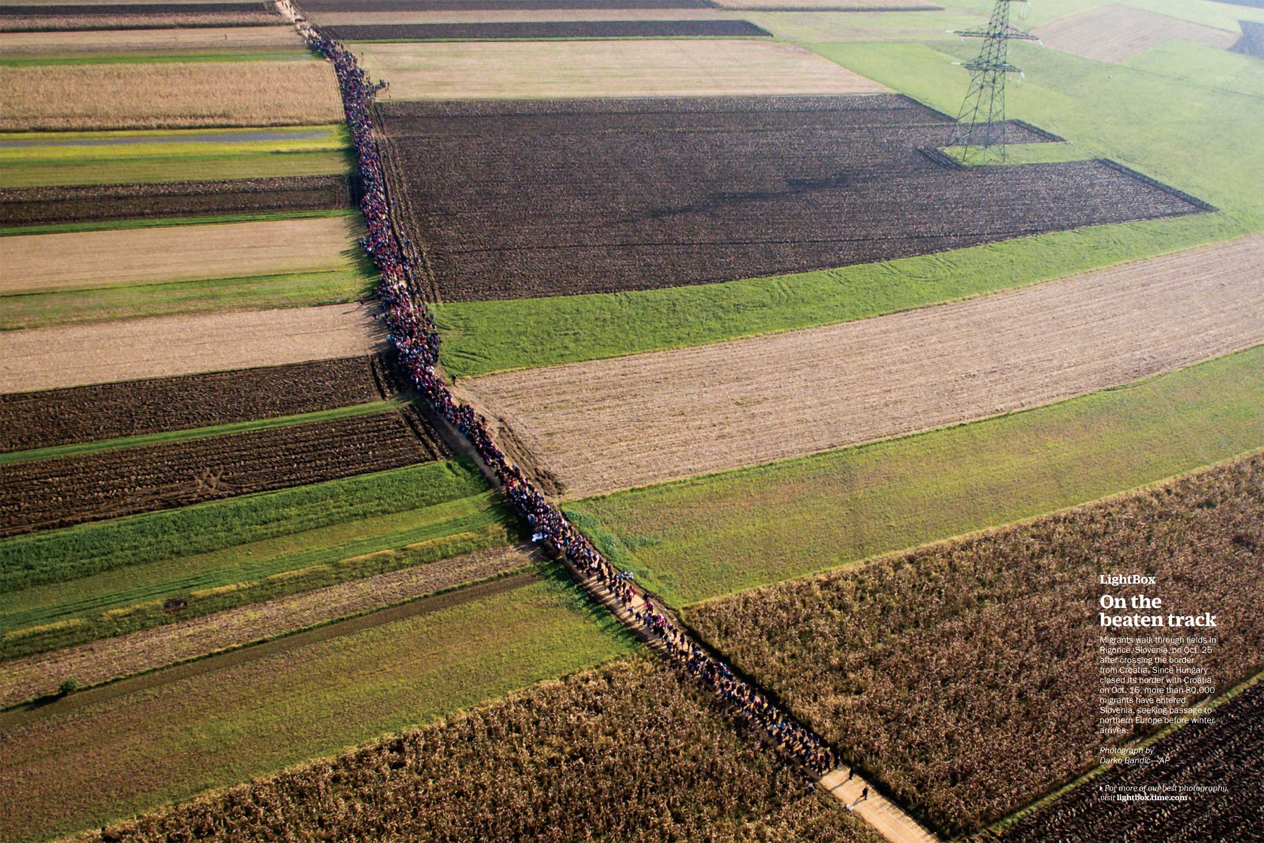 Photograph by Darko Bandic—APMigrants walk through fields in Rigonce, Slovenia, on Oct. 25 after crossing the border from Croatia. Since Hungary closed its border with Croatia on Oct. 16, more than 80,000 migrants have entered Slovenia, seeking passage to northern Europe before winter arrives. (TIME issue November 9, 2015)
