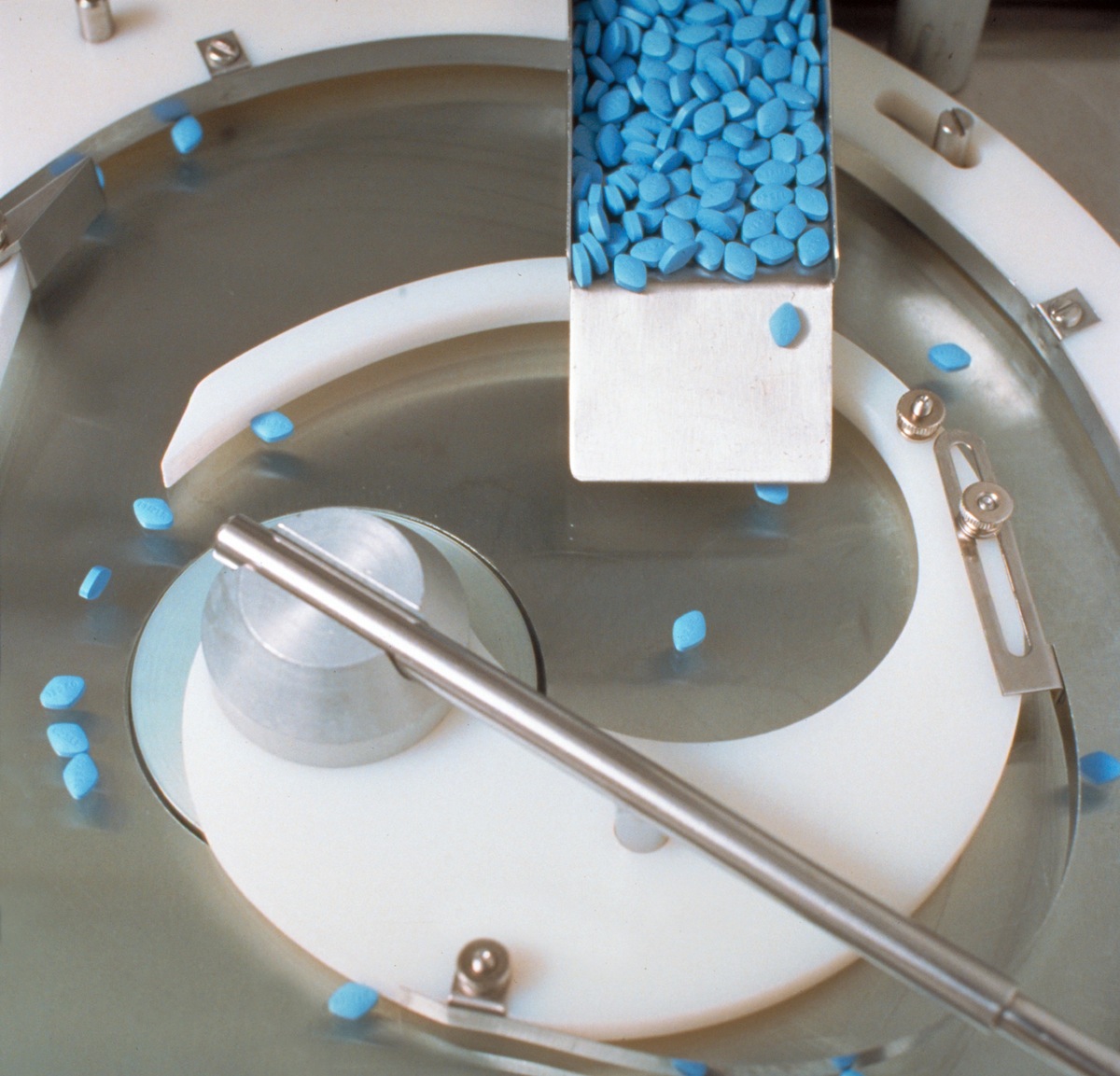 Small blue Viagra pills, separated by machine, in 1998 (Suzanne Opton—The LIFE Images Collection/Getty)